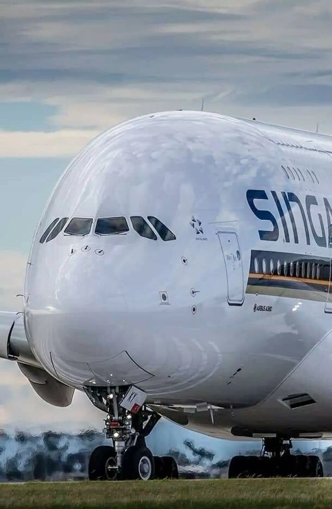 airbus a380, airbus, aviation