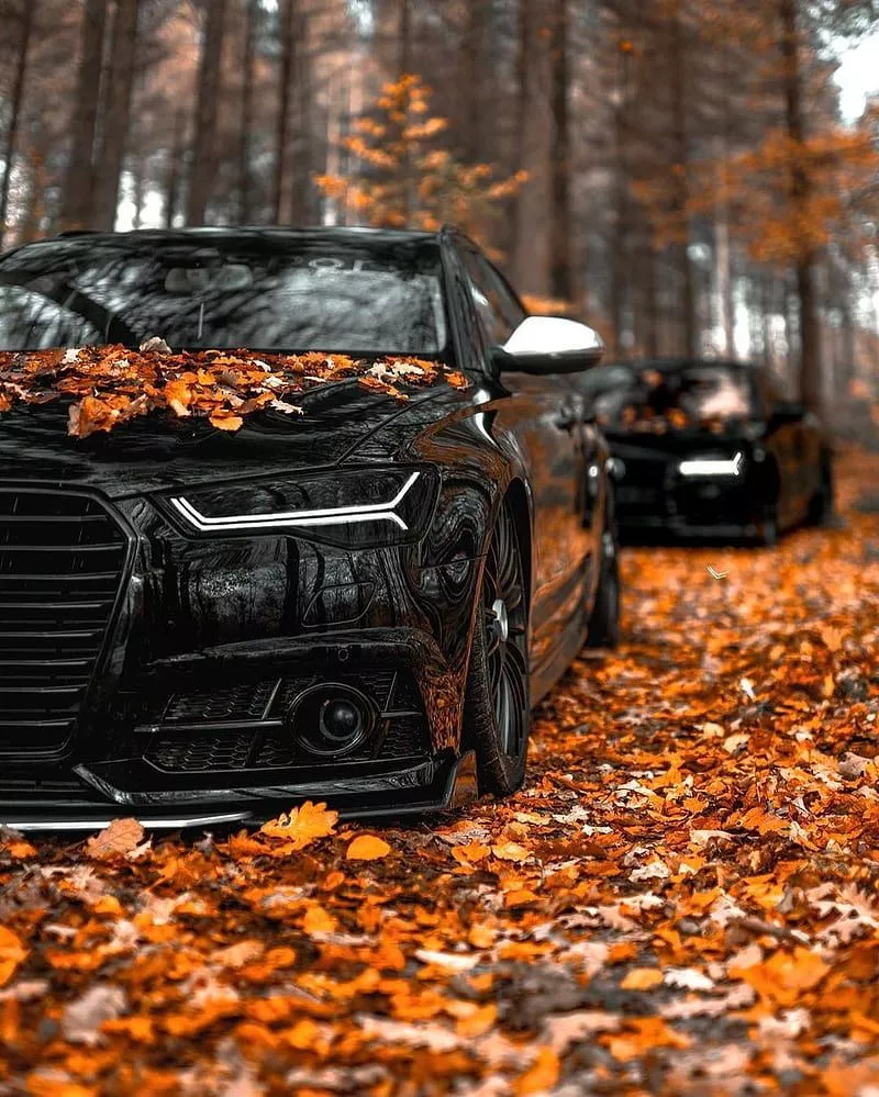 Araba, black, car, carros, gle, HD