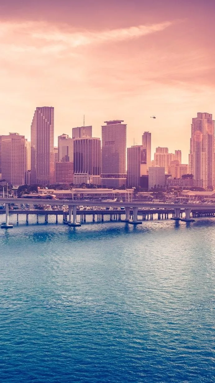 Miami Downtown Florida iPhone 6