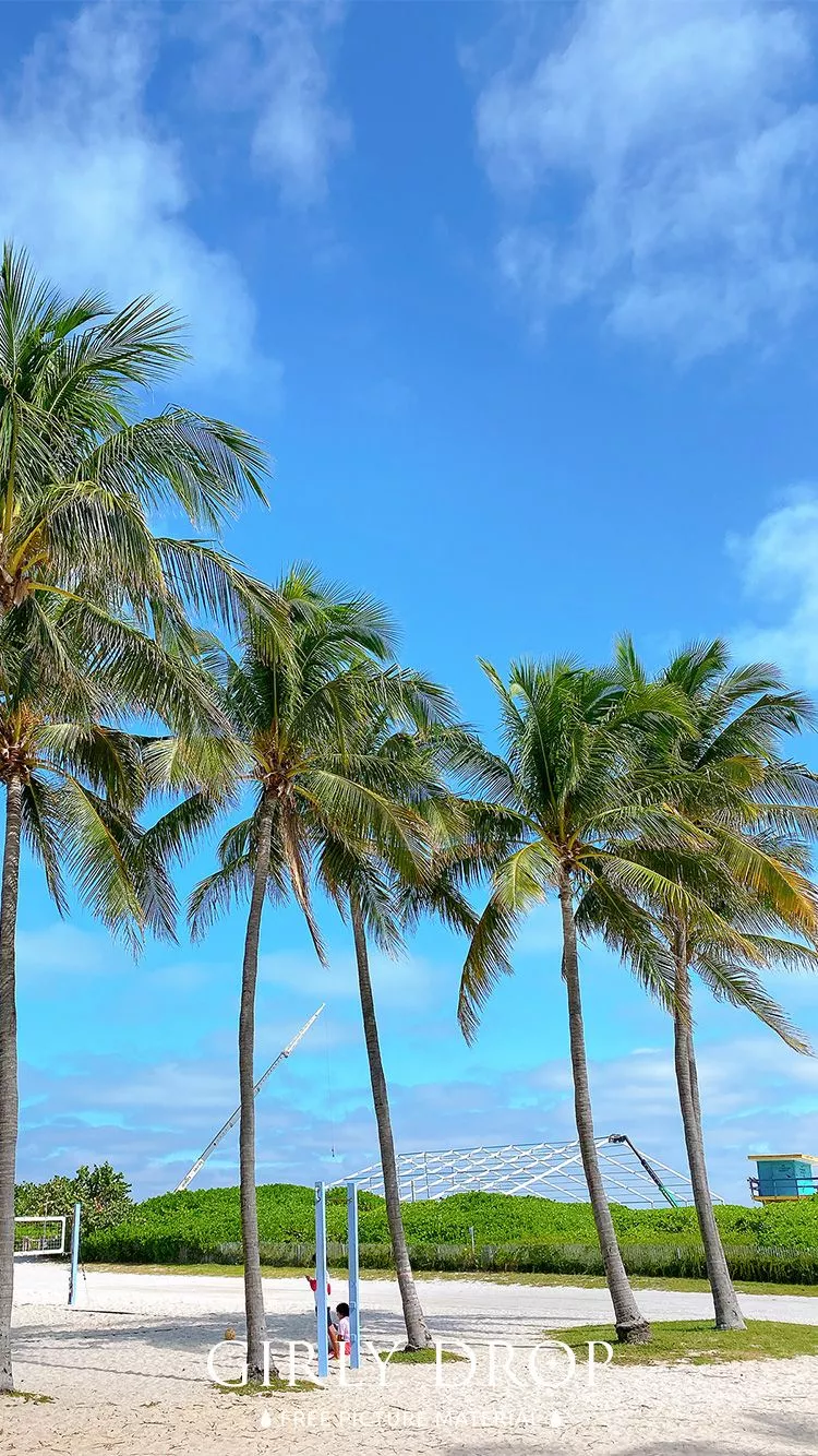 Stylish iPhone wallpaper iPhone (smartphone) wallpaper of a palm tree in the park in front of Miami South Beach. Stylish free photo material: GIRLY DROP