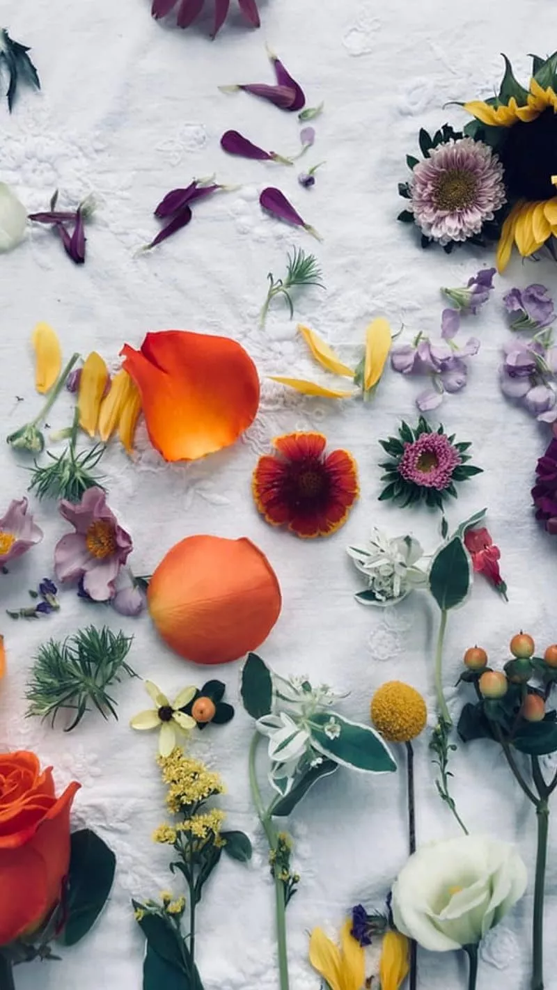 HD iphone 11 flower wallpaper