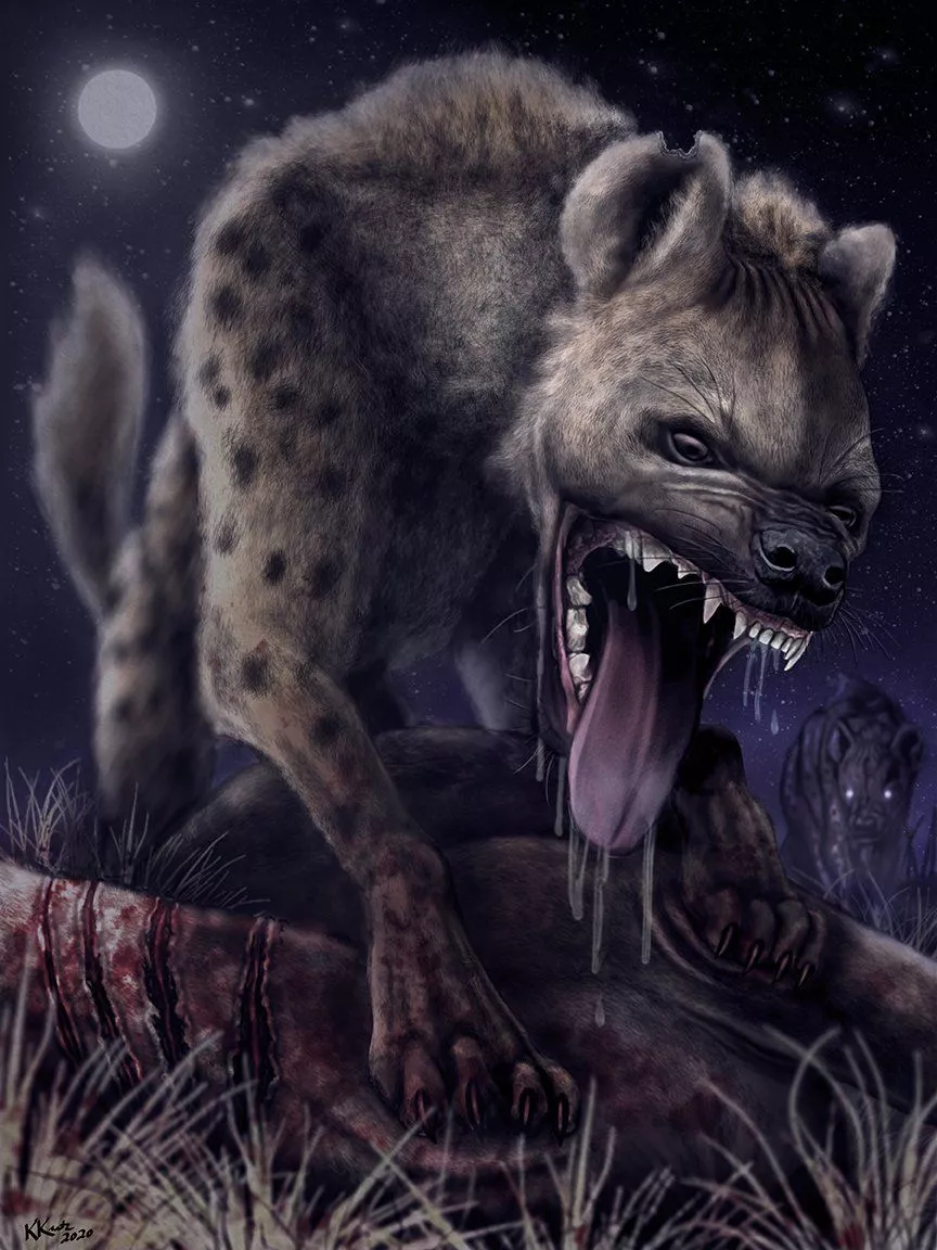 Spotted Hyena