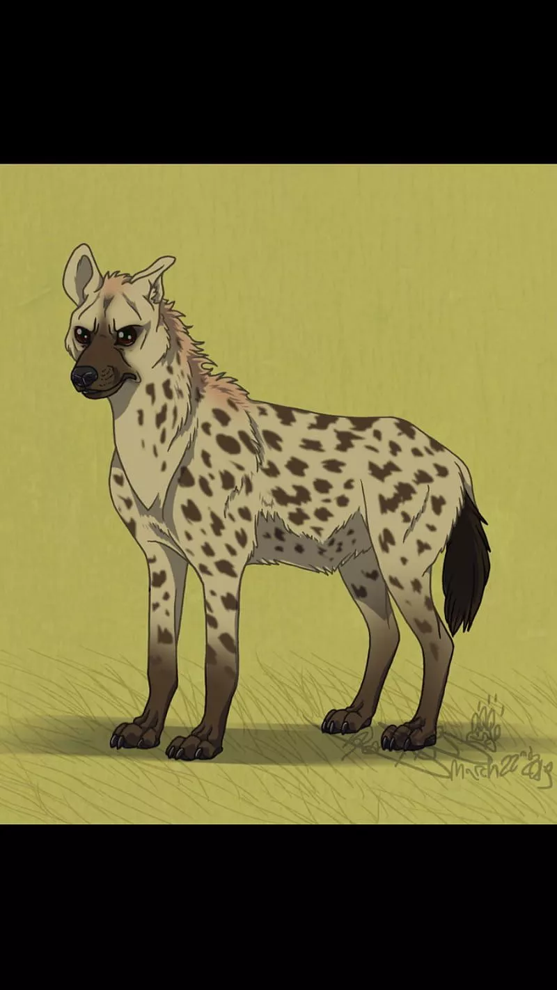 HD hyena love wallpaper