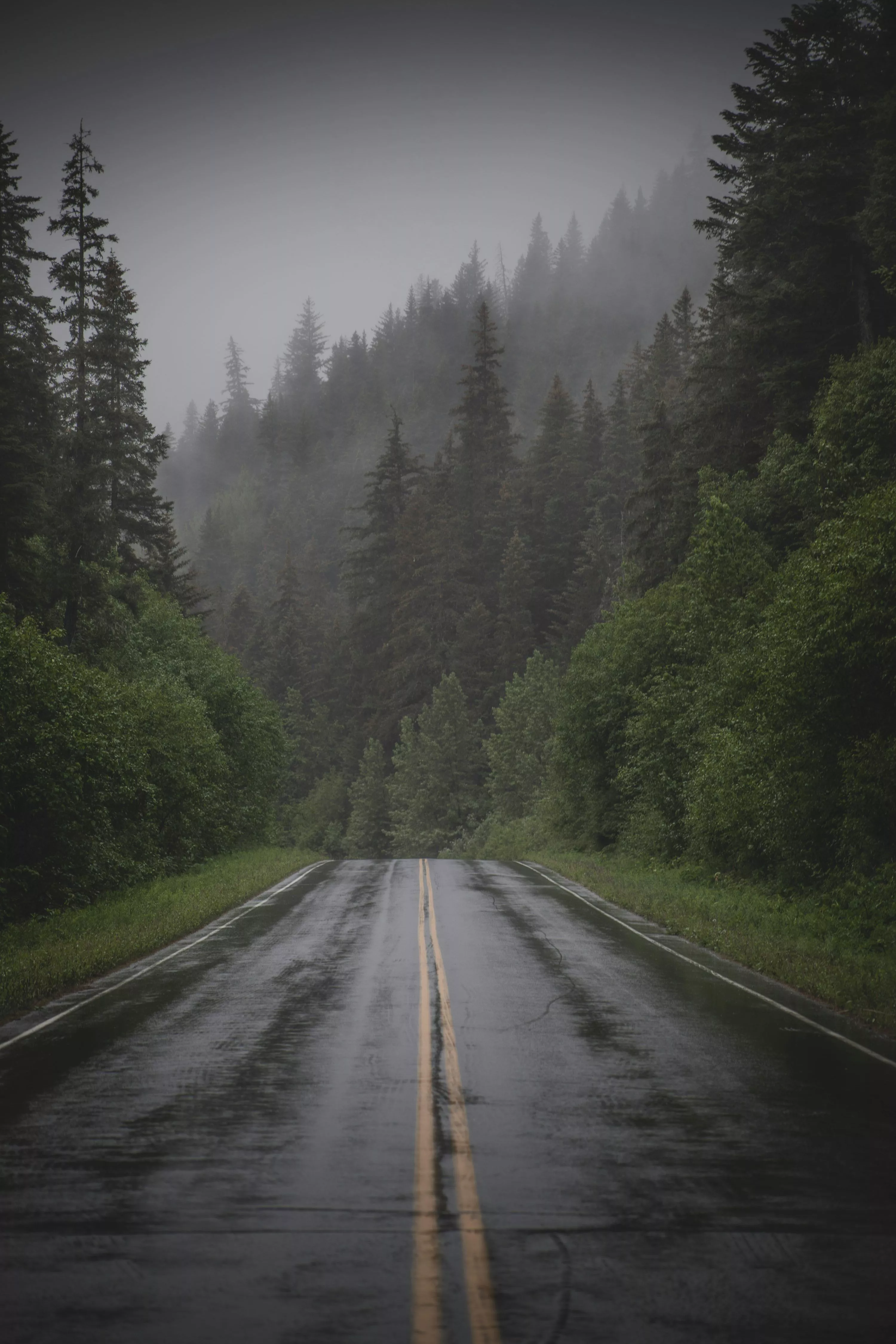 Rainy Road Picture. Download