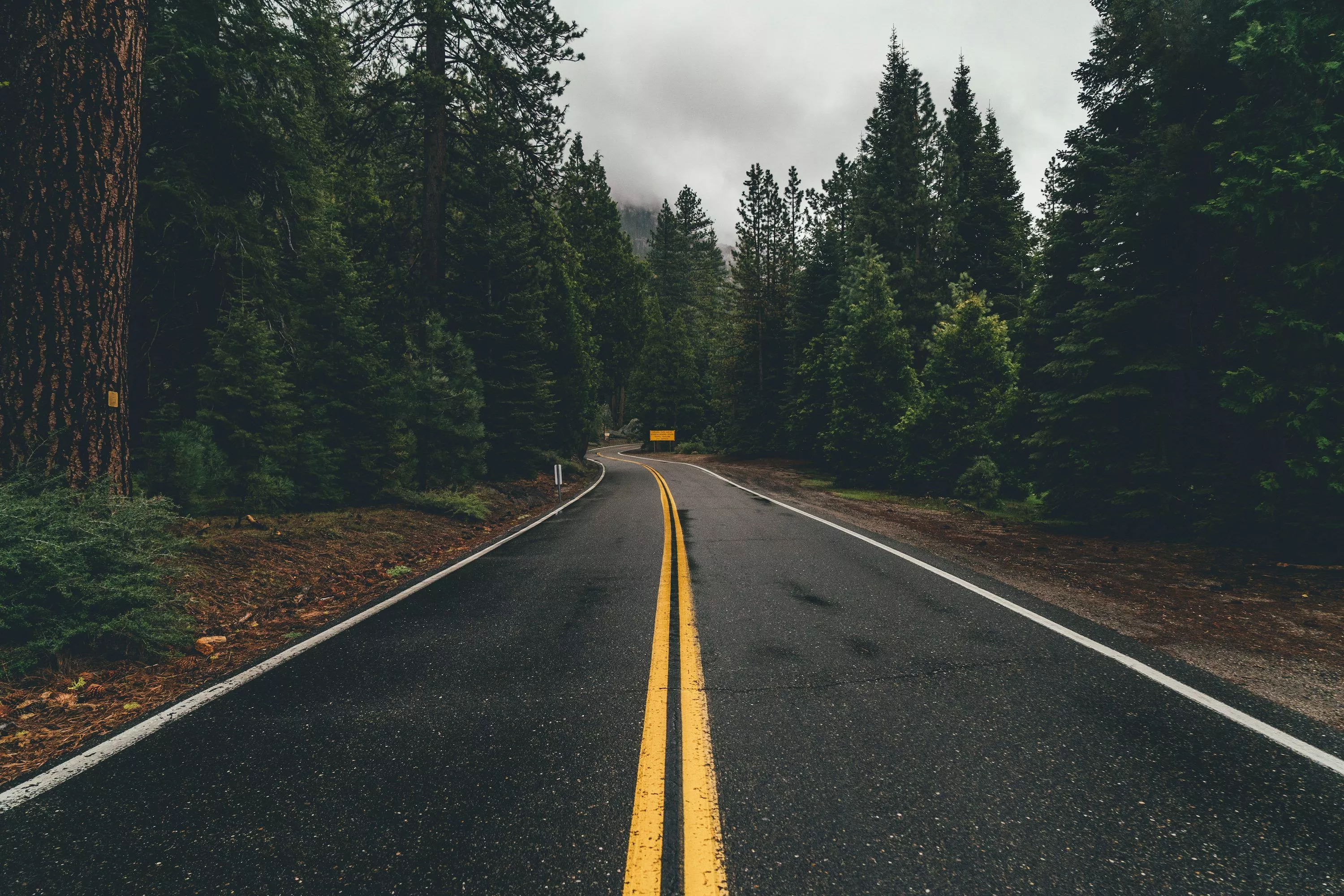 Rainy Road Picture. Download