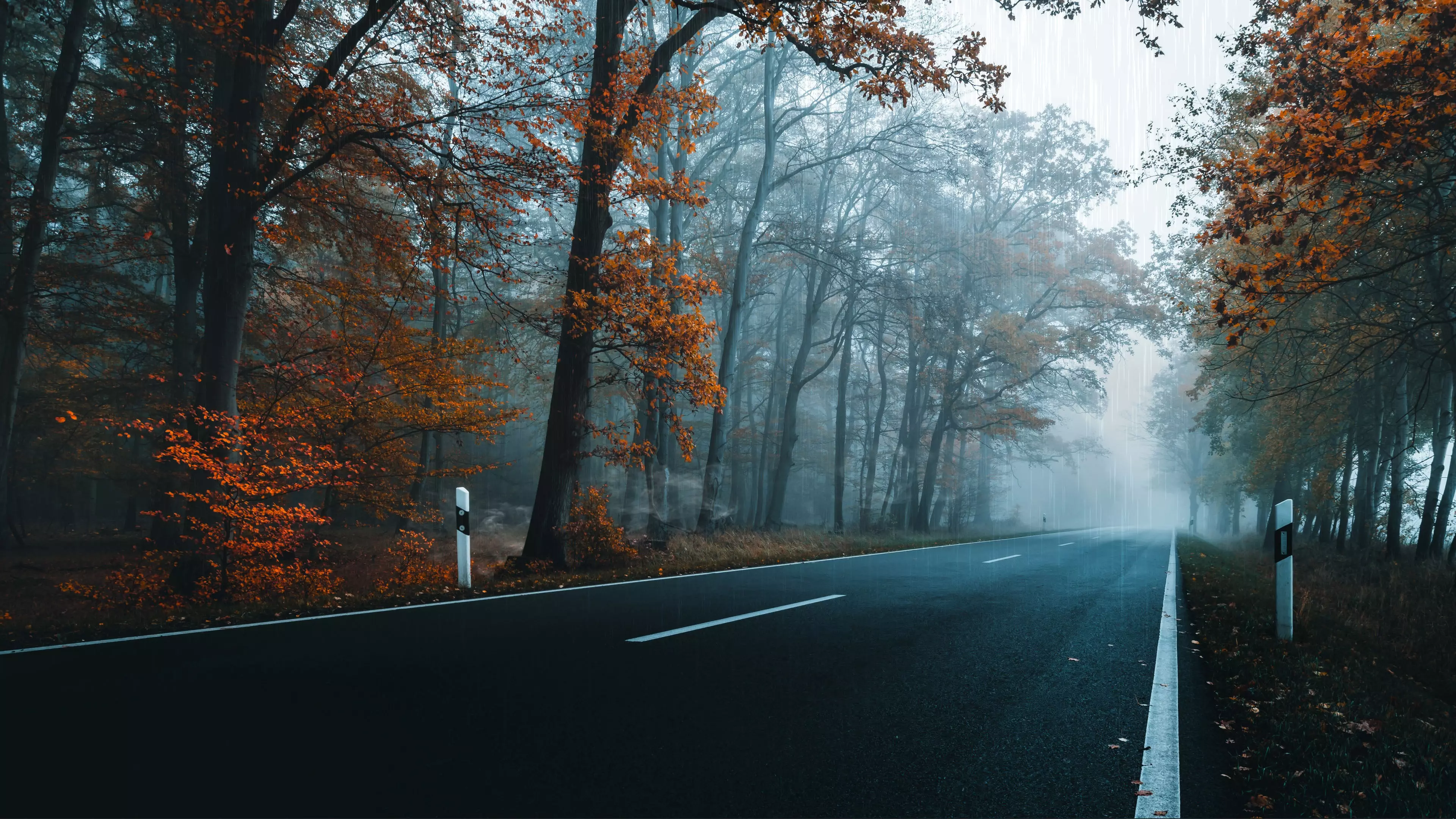 Live wallpaper Rainy highway download