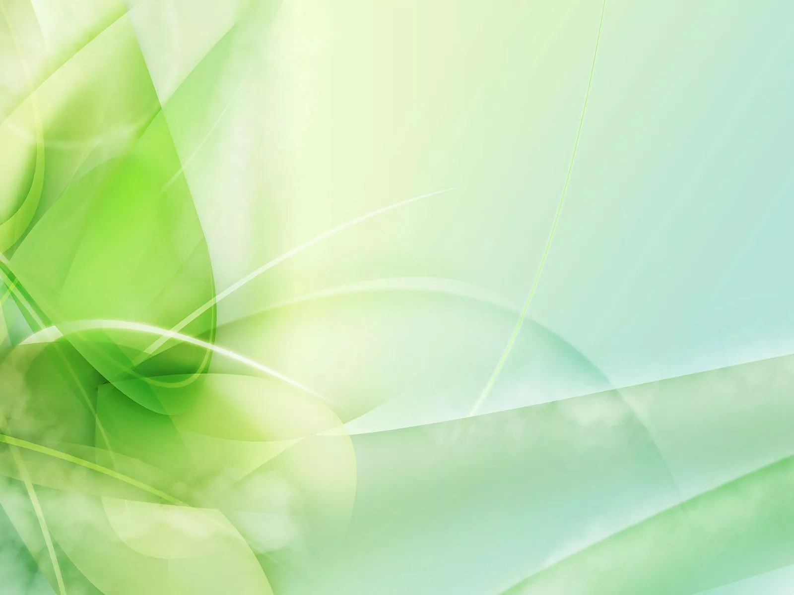 Light Green Background Wallpaper 4