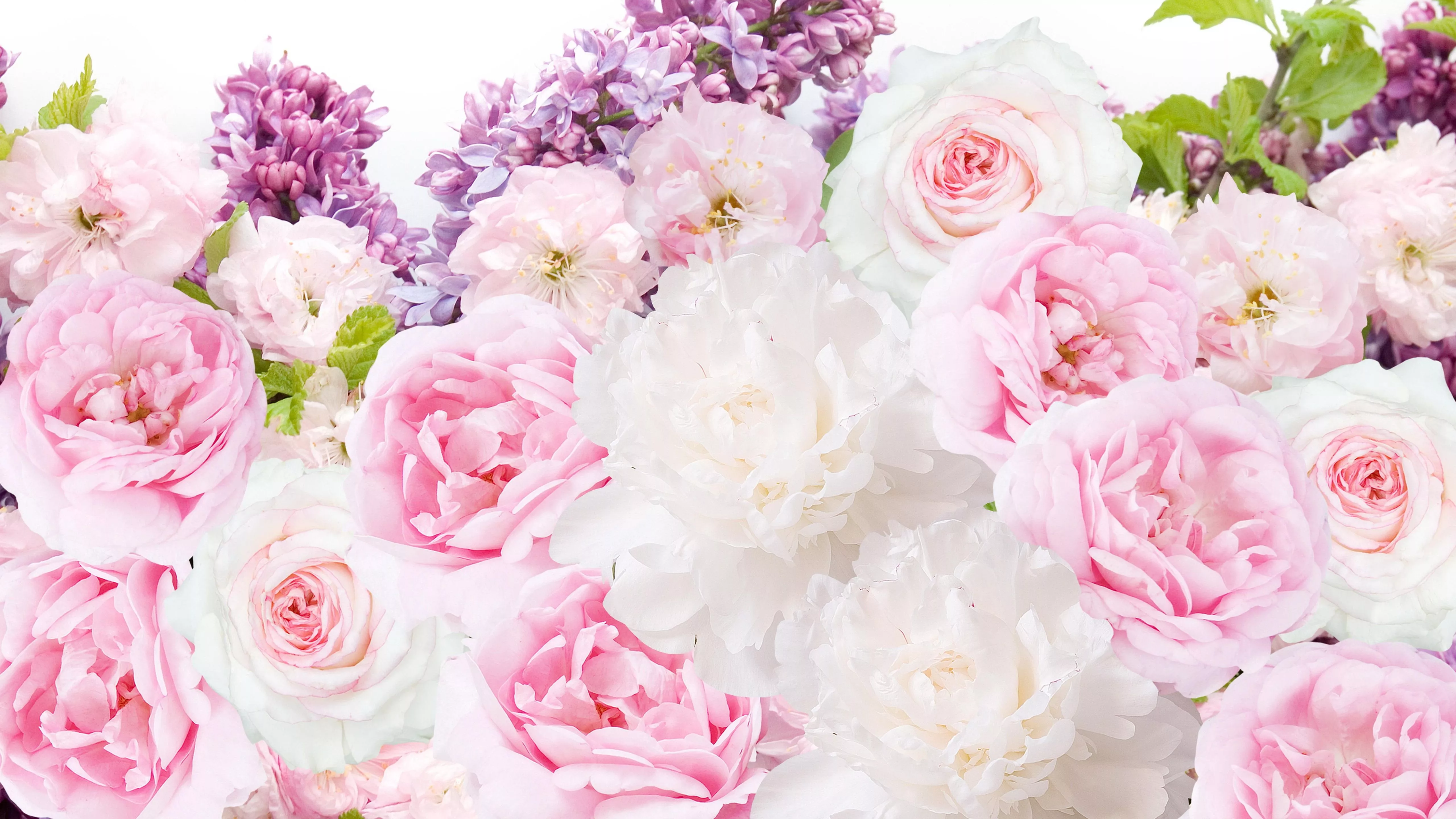 Peonies Pink And White Rose Bouquet
