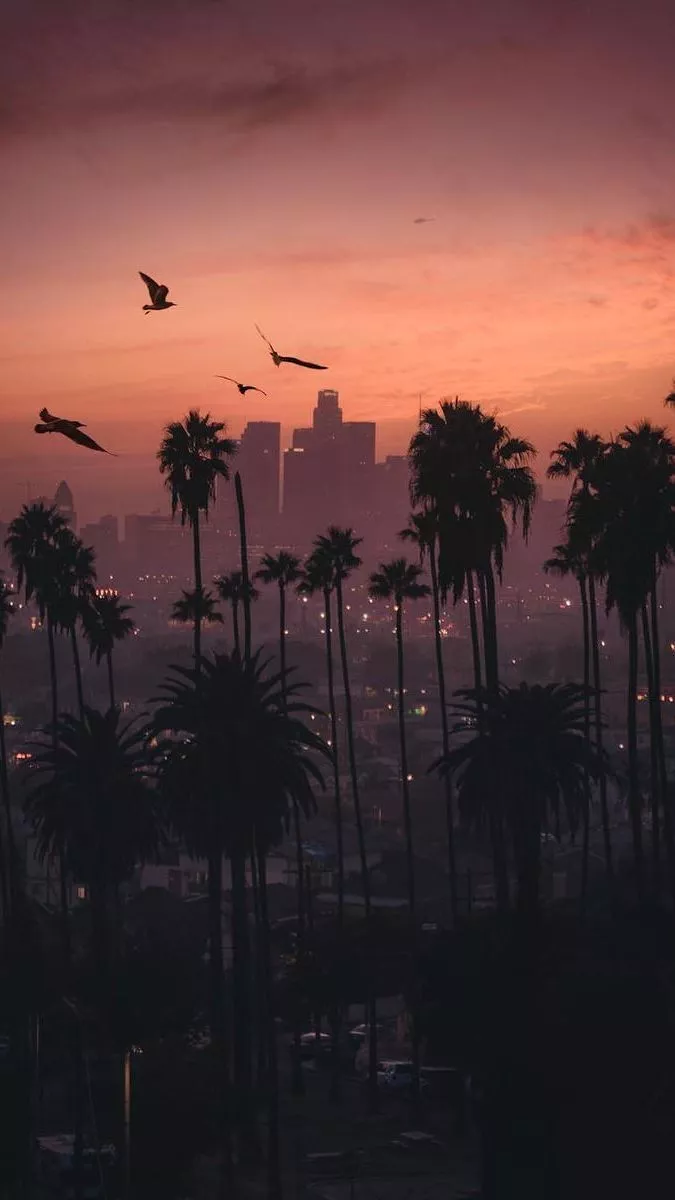 iPhone X Los Angeles Wallpapers - Wallpaper Cave