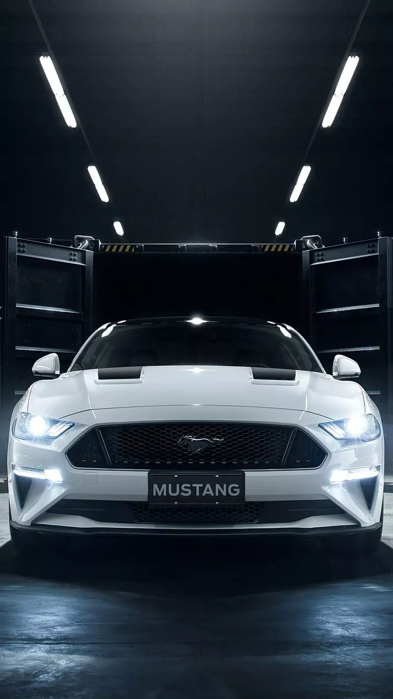 Ford Mustang, 2020, shelby, white, HD