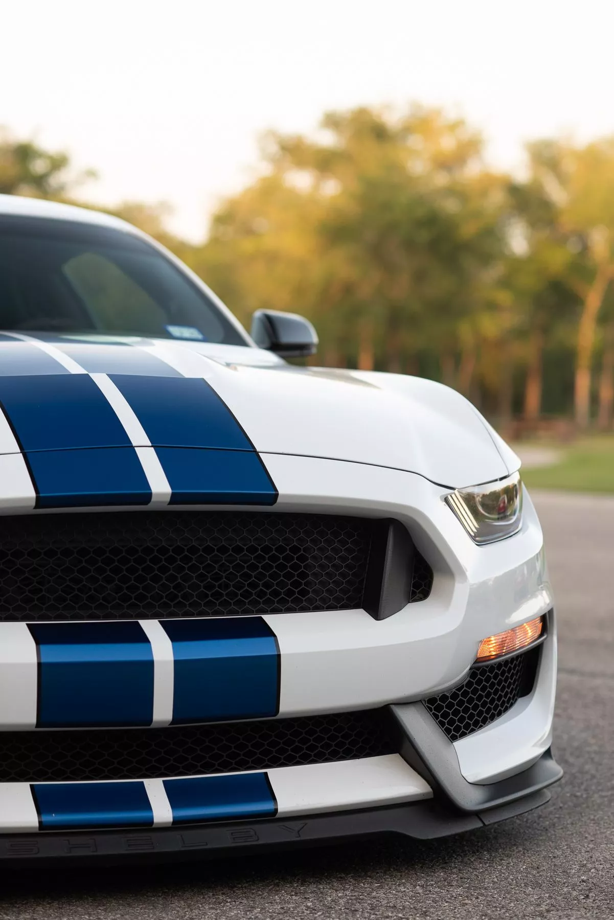 Ford Mustang Shelby GT350 Session