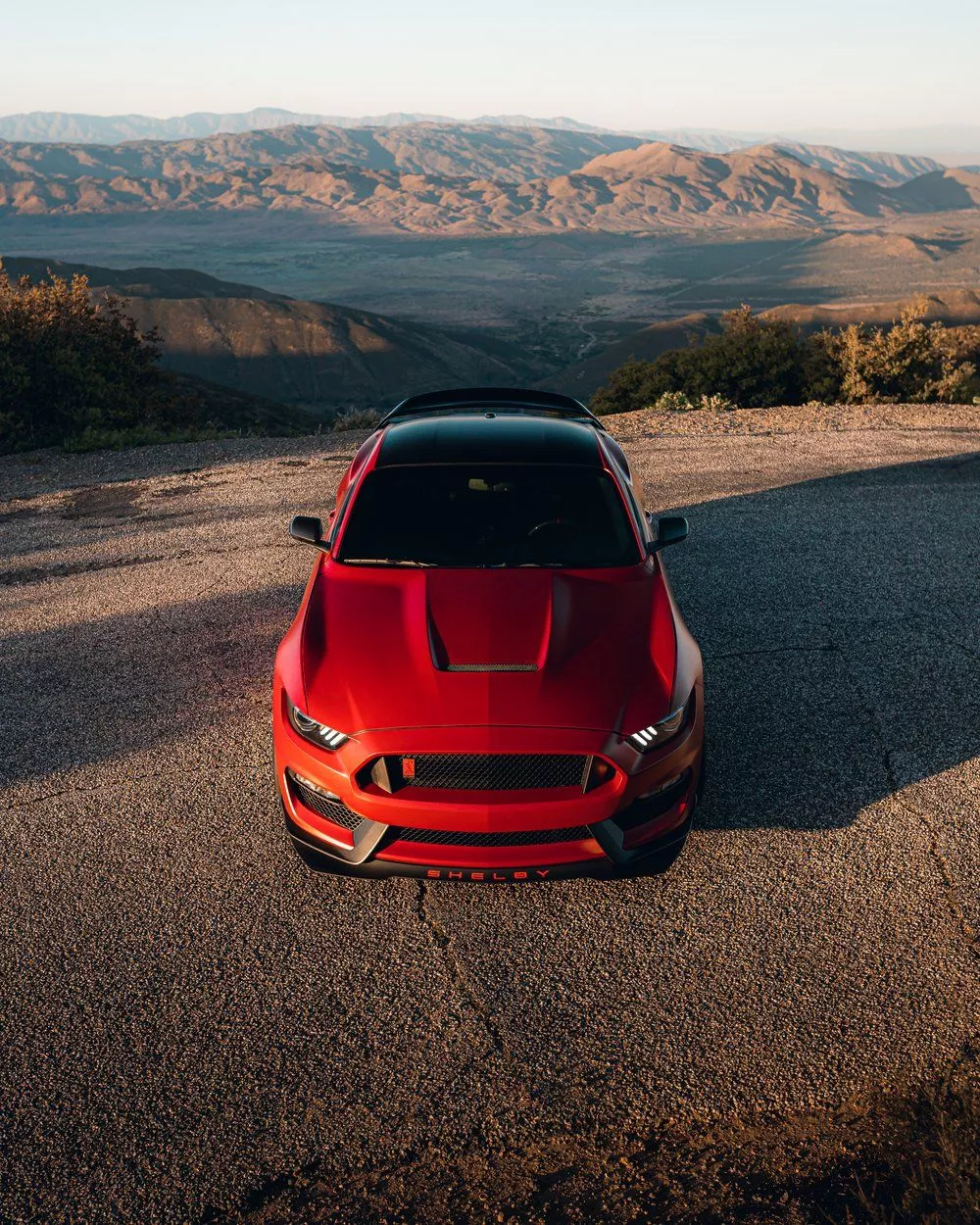 Andy's Mustang Shelby GT350R