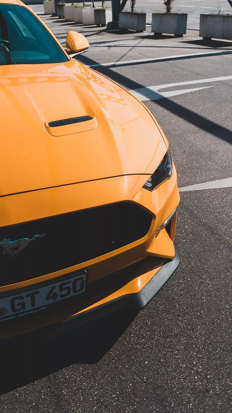 Ford Mustang GT, 67er mustang, ford