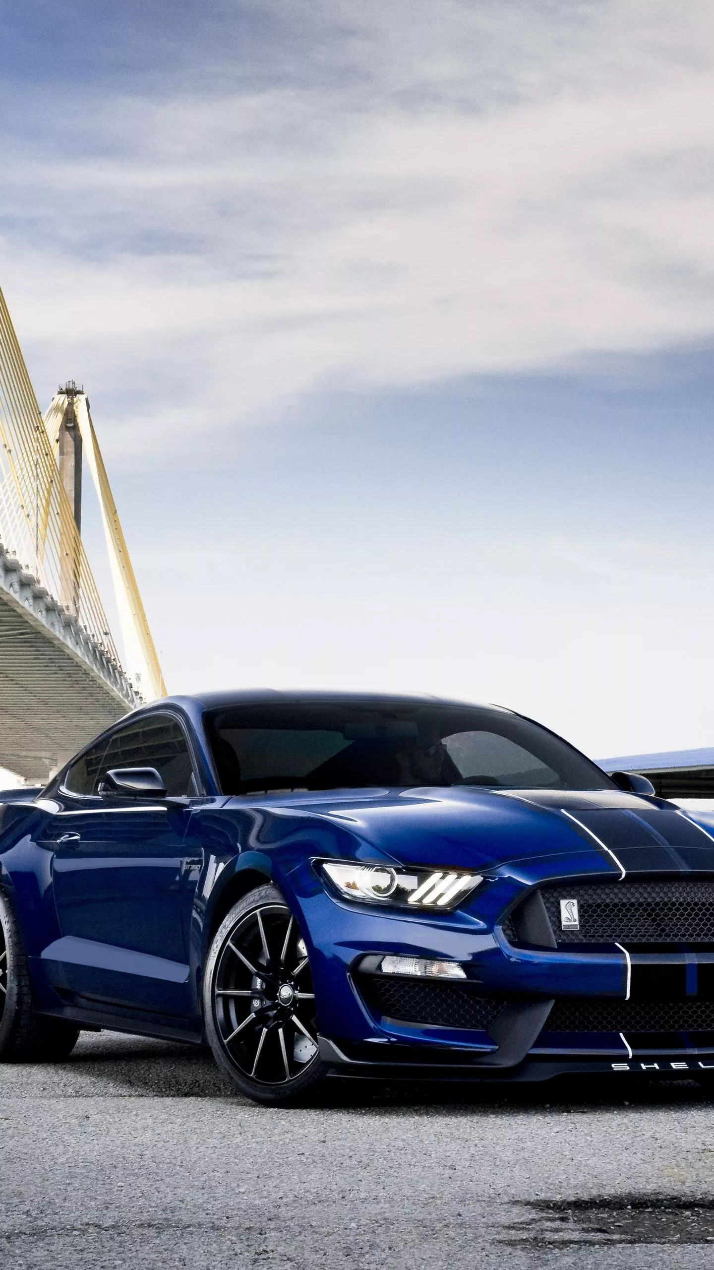 Ford Mustang Shelby GT350 Wallpaper 4K