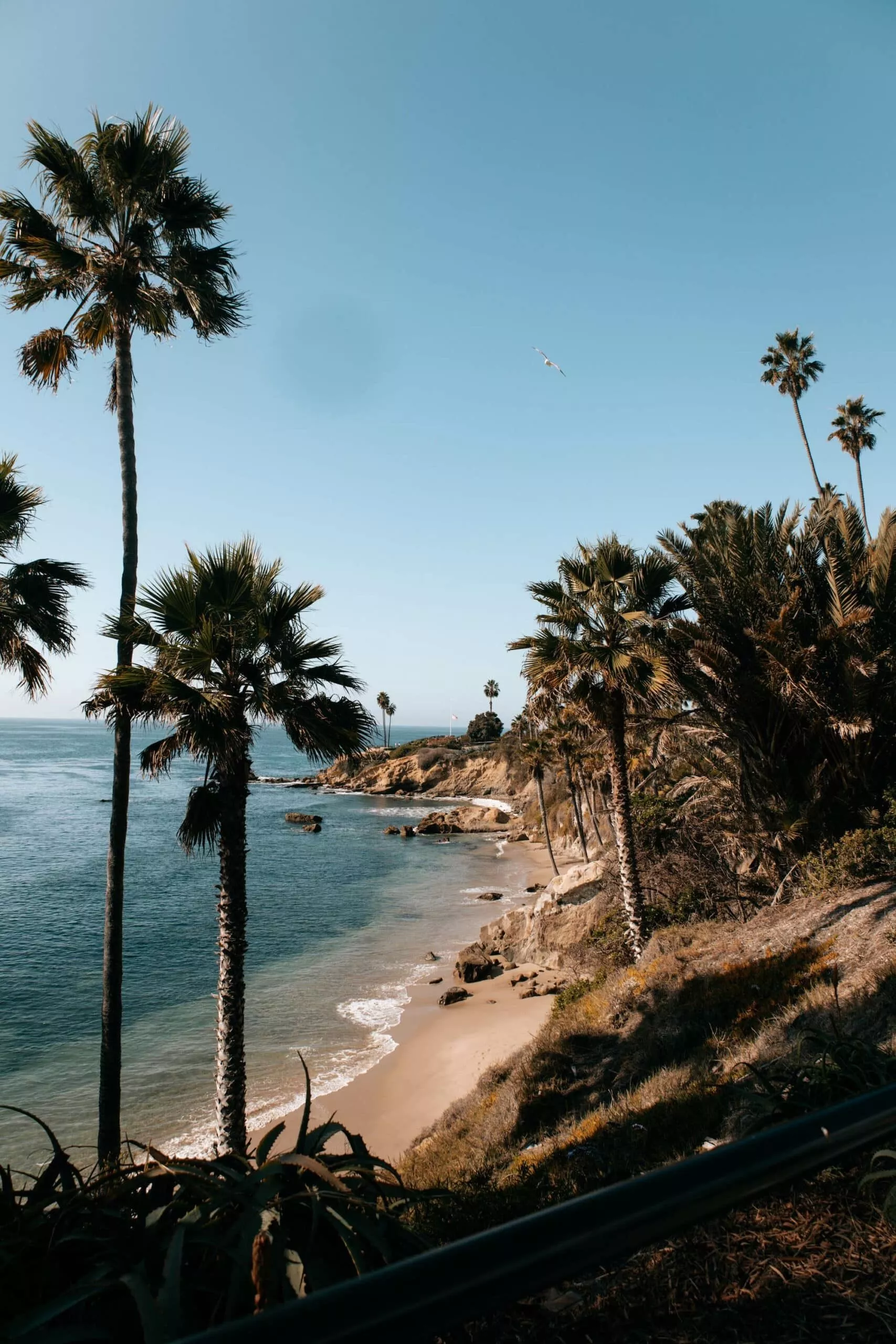 Laguna Beach Wallpaper
