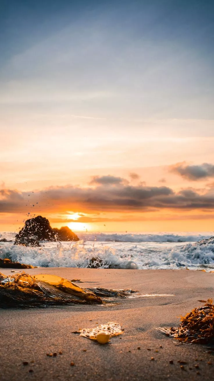 Cold in California iPhone Wallpaper