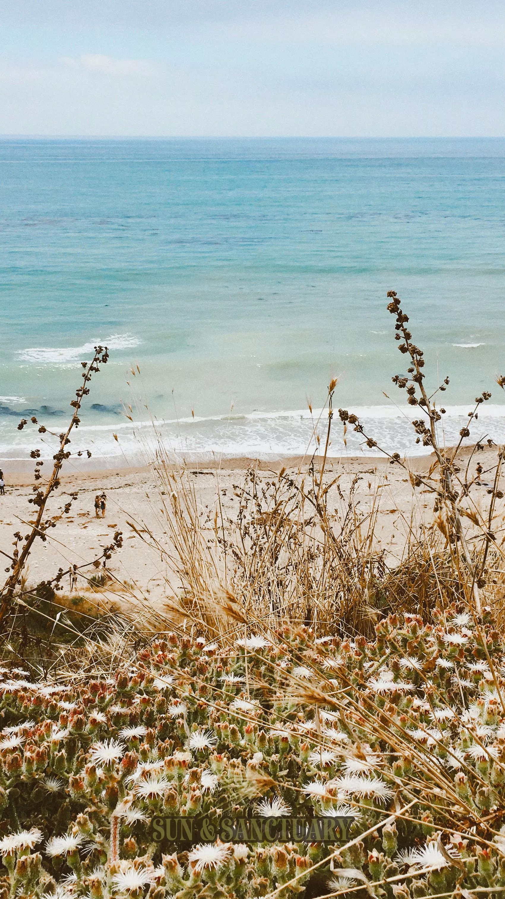 Phone Wallpaper for Summer Vibes