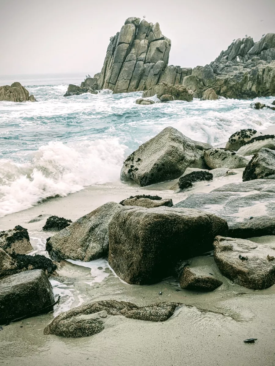 Lover's Point Beach in Pacific Grove