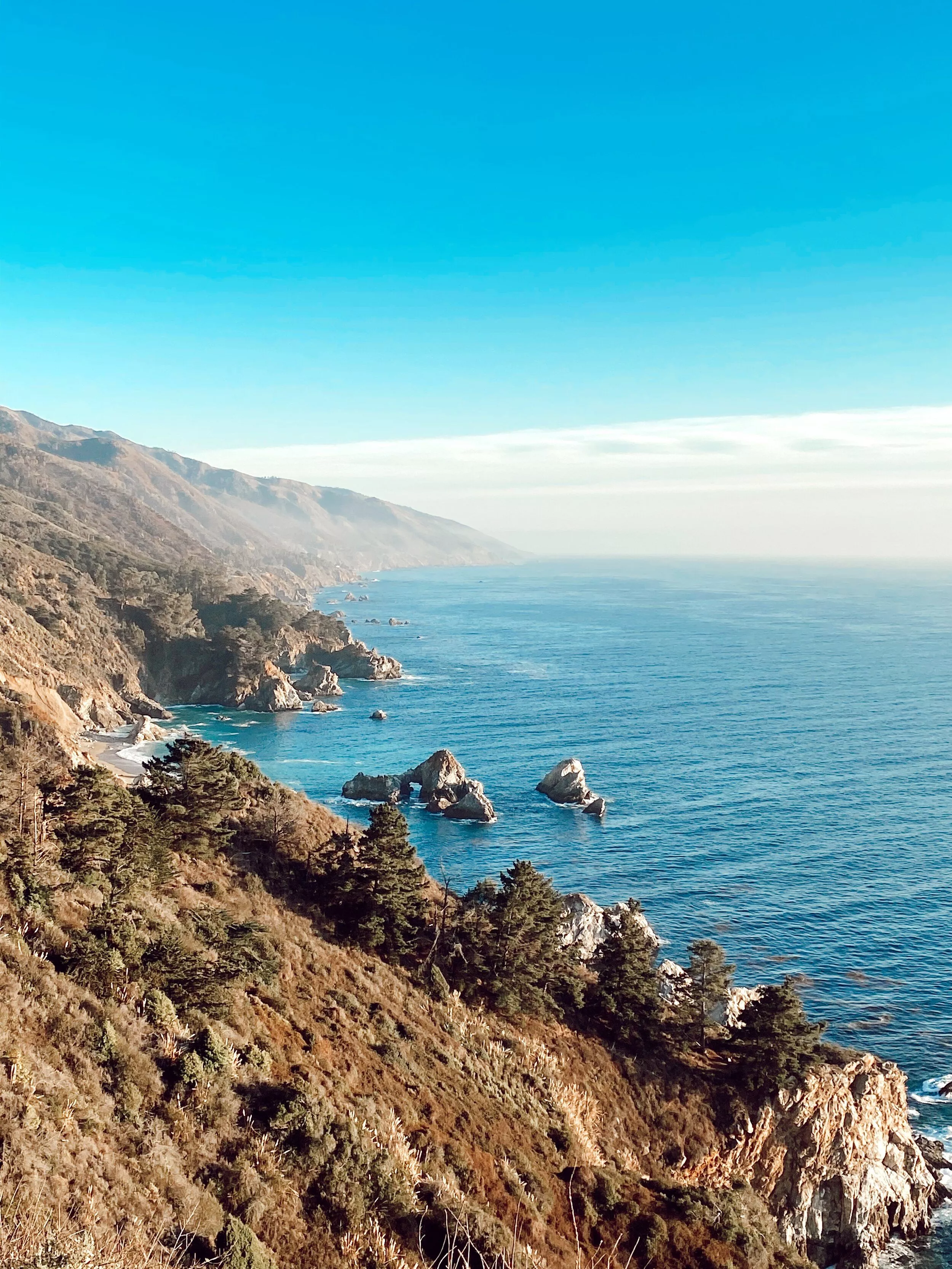 A week of Magic under the Redwoods