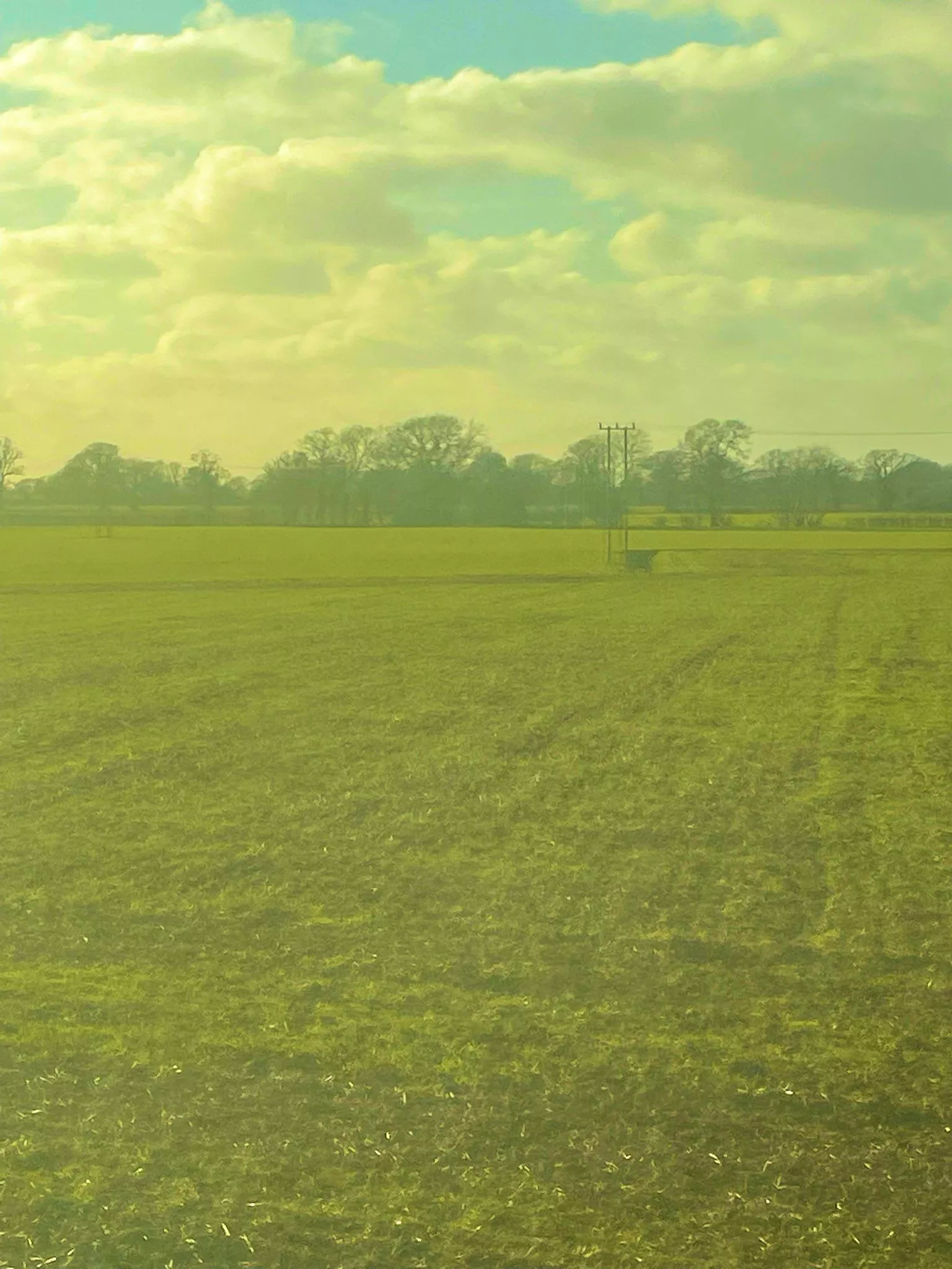 countryboy #norfolk #countrylife