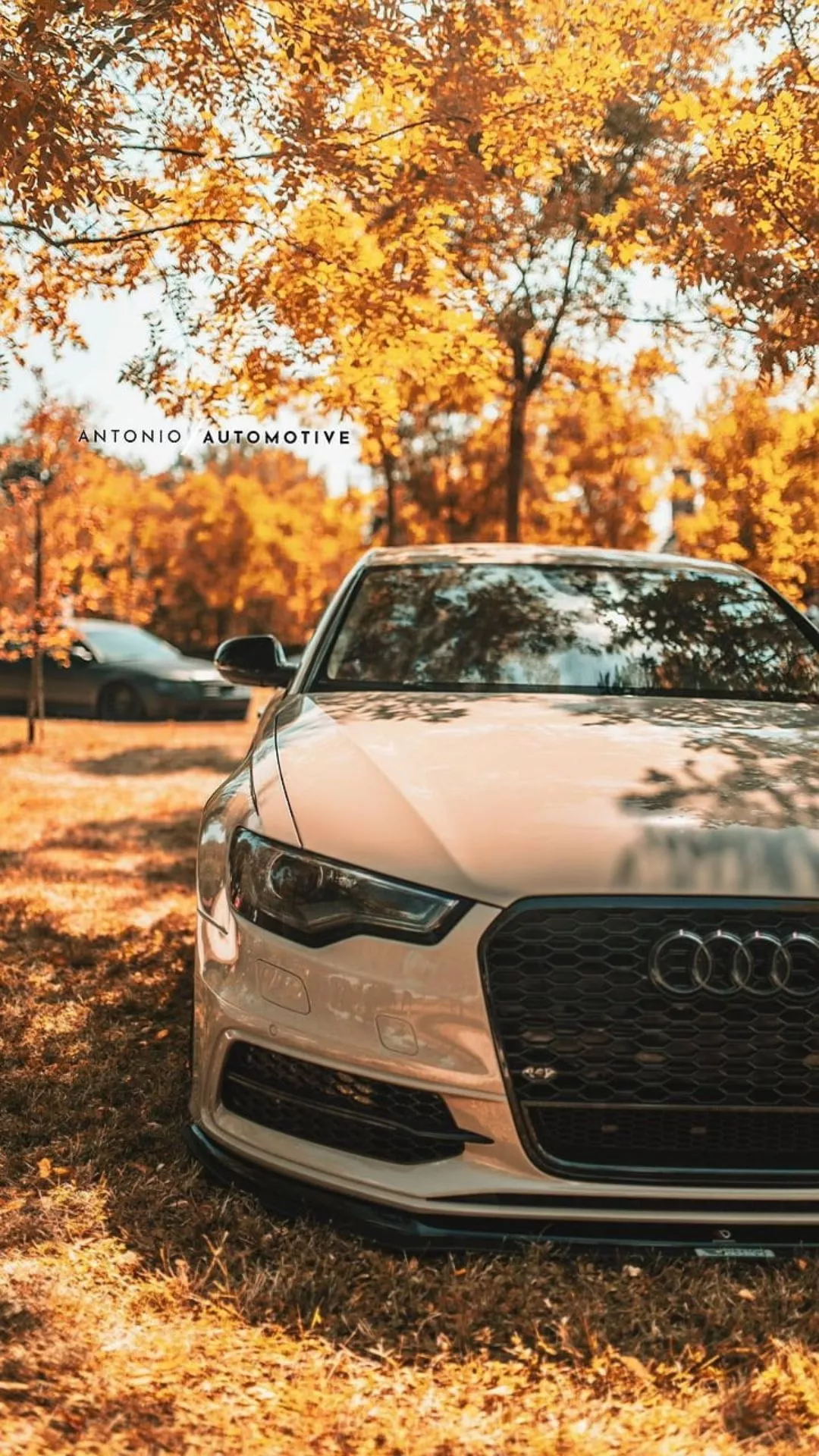 Audi A6 iPhone Wallpaper