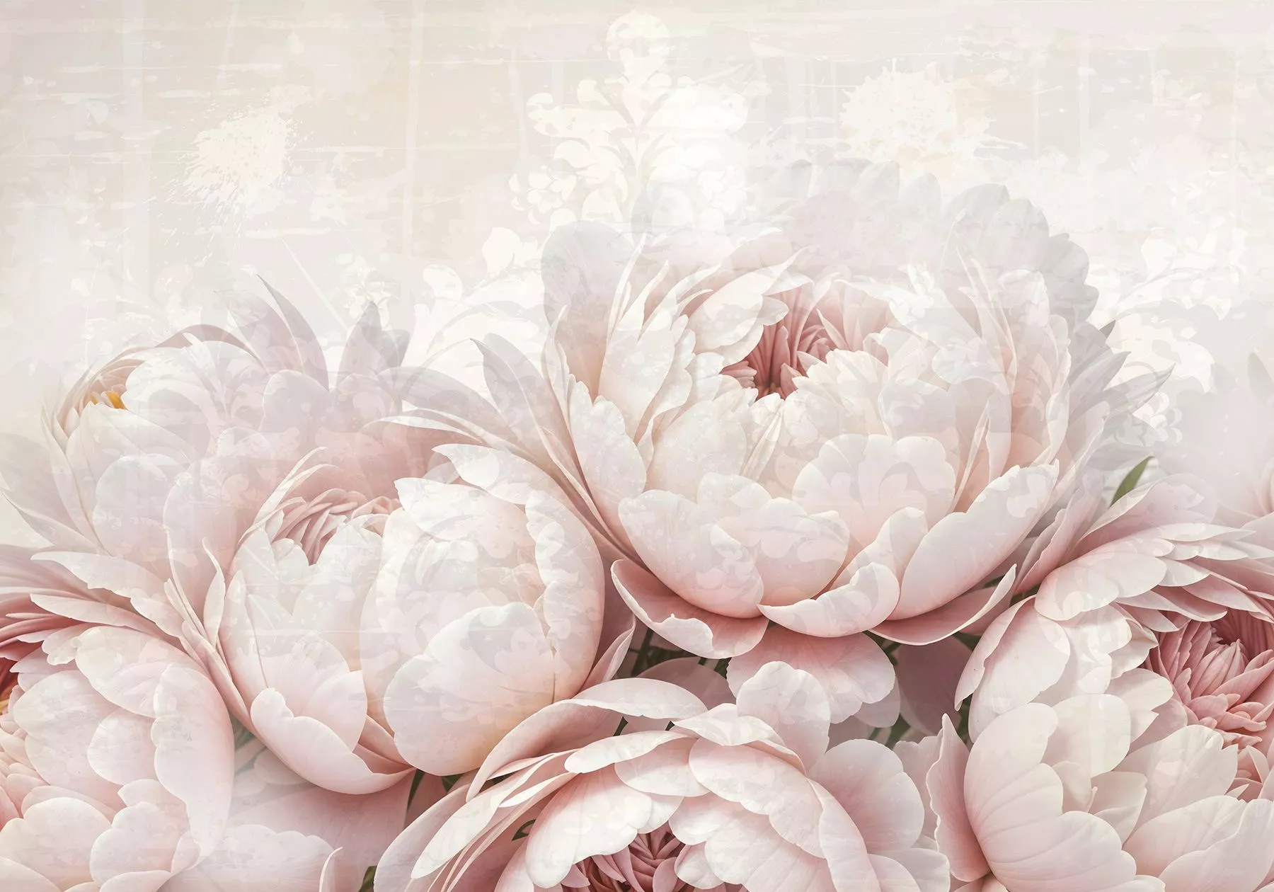 Wall Mural Photo Wallpaper Soft pink