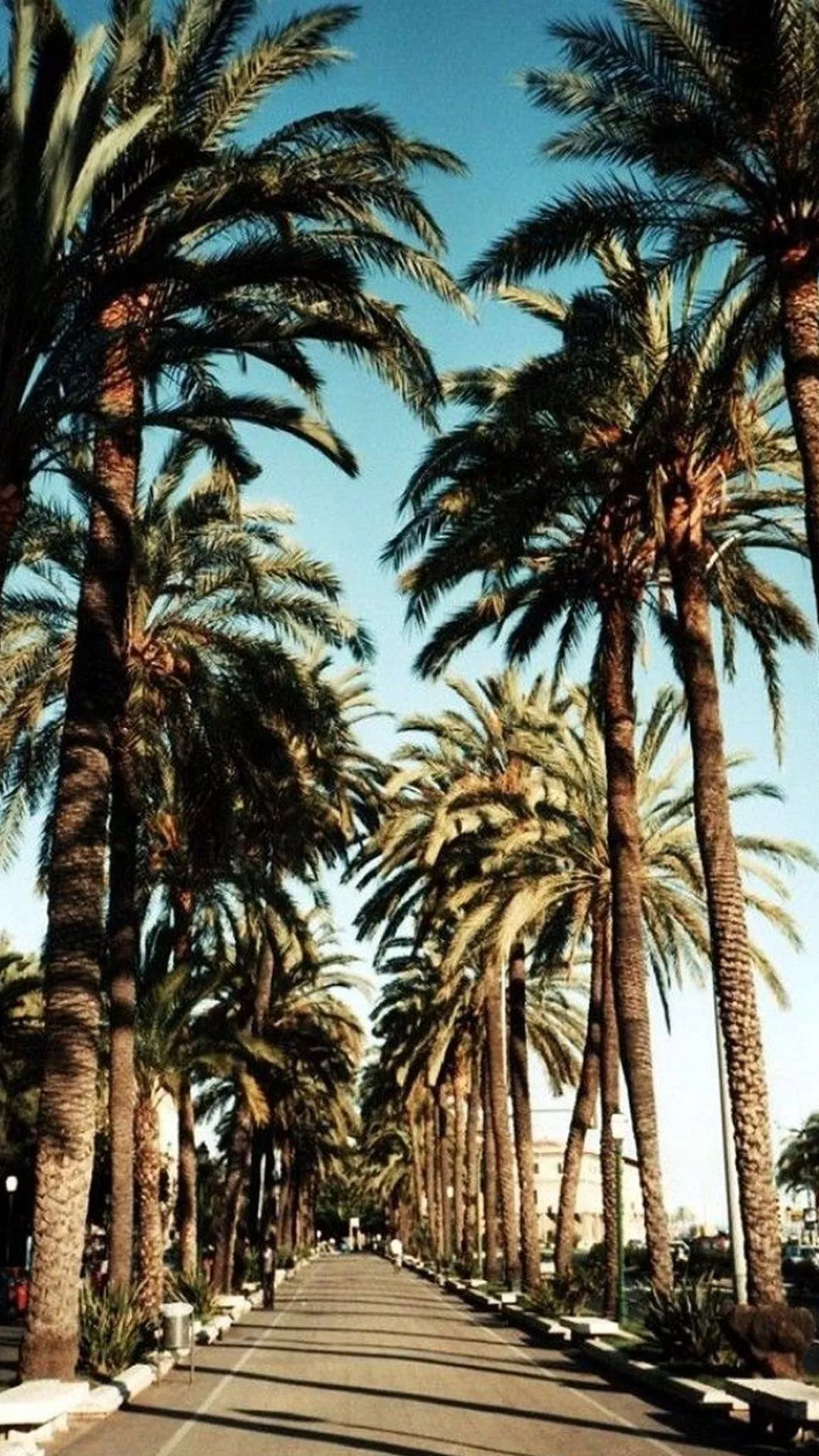 Beverly Hills Wallpaper