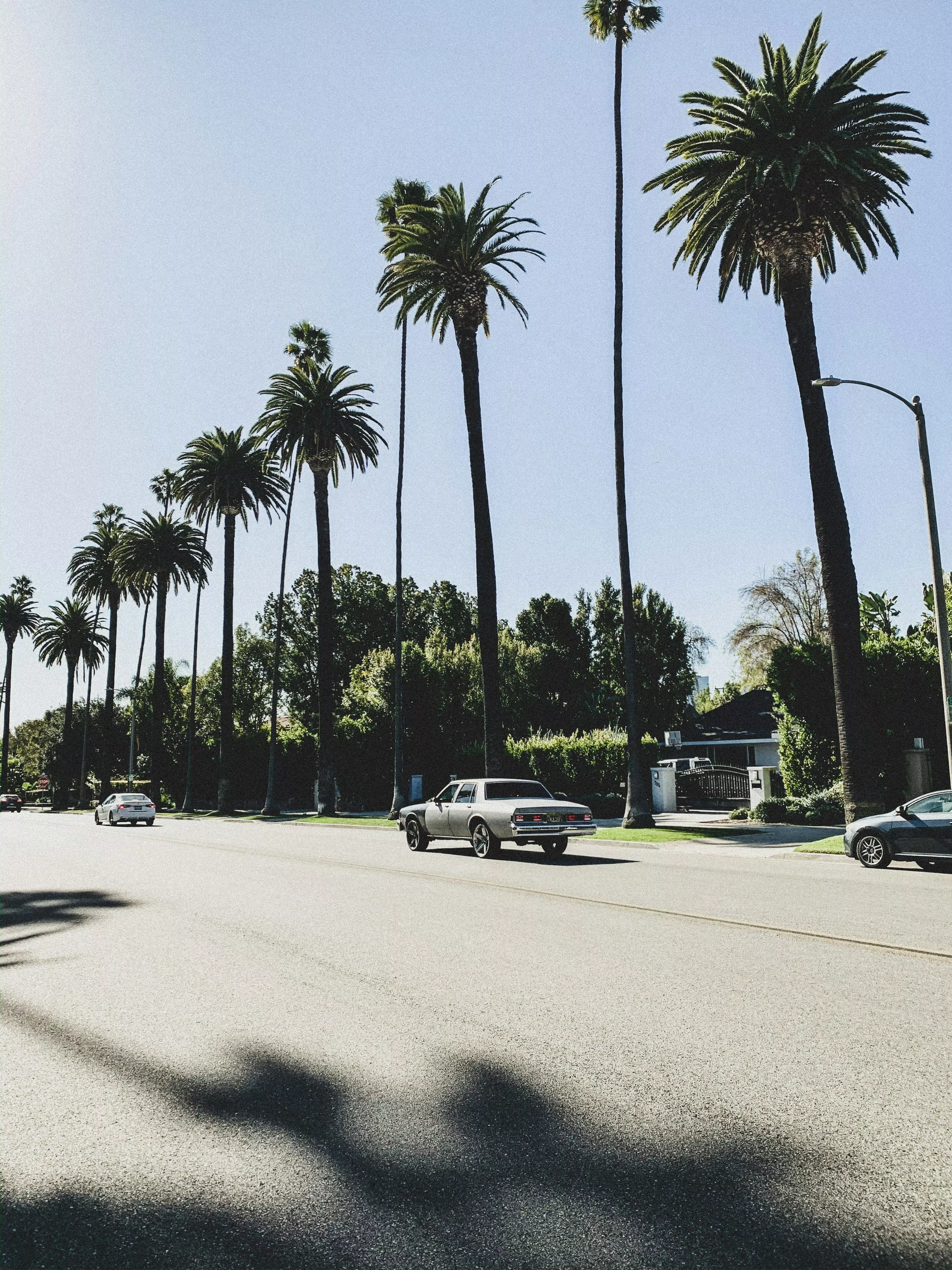 Beverly Hills Picture HD