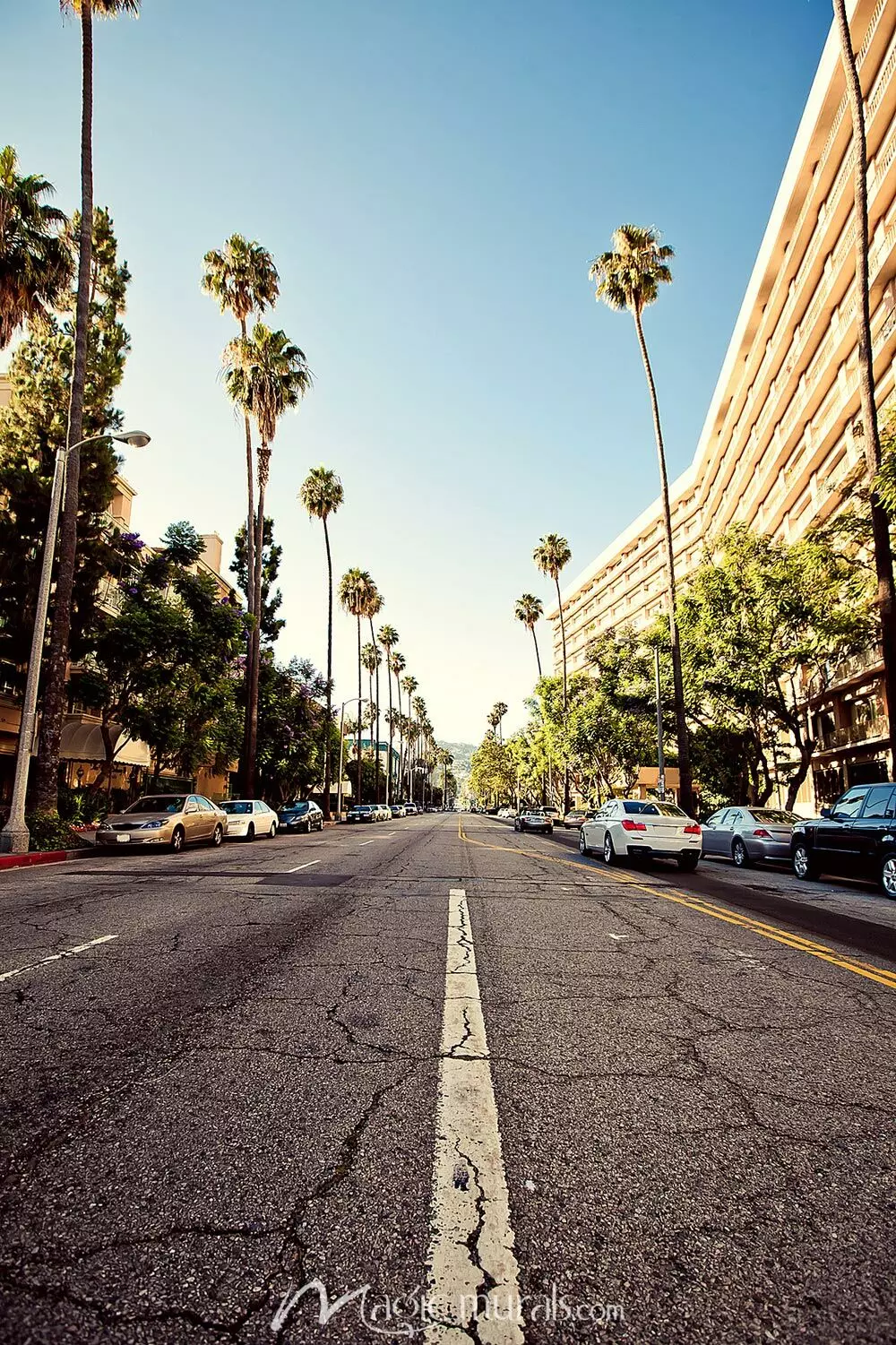 Beverly Hills Streets Wallpaper Mural