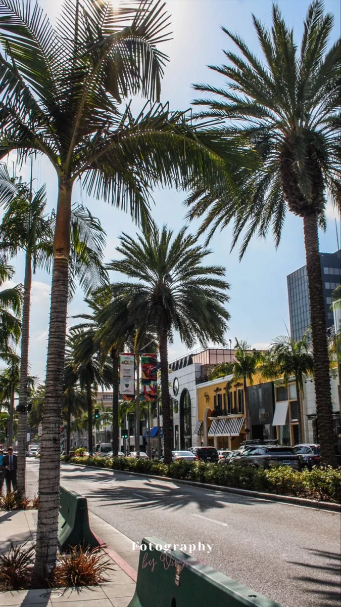 RODEO DRIVE