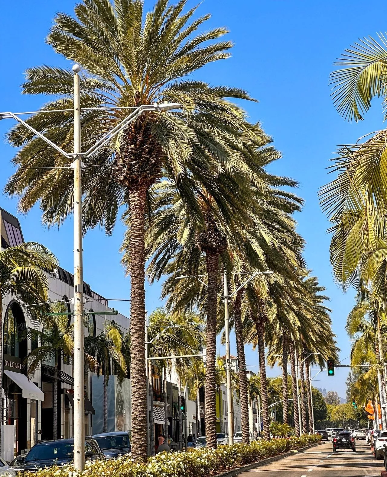 RODEO DRIVE