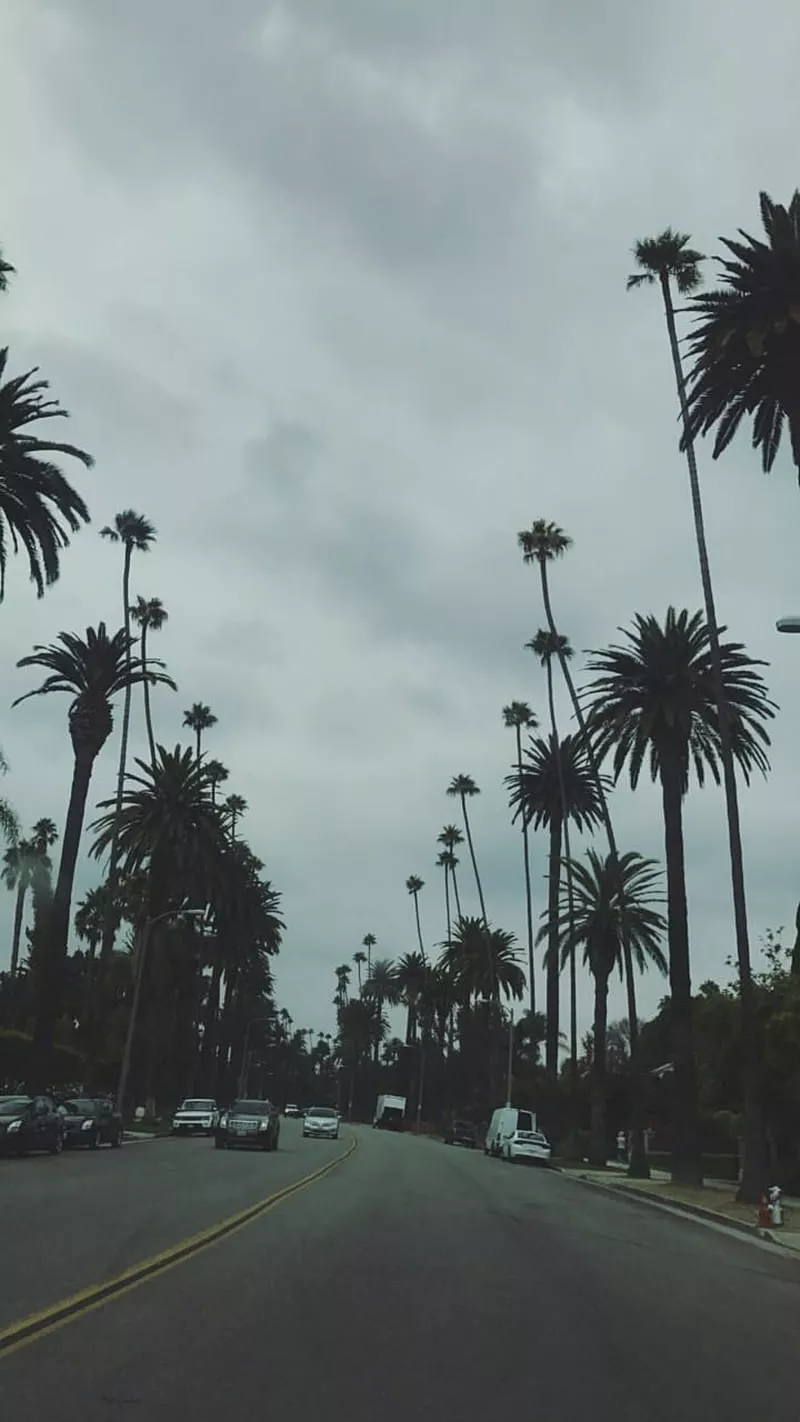 HD phone wallpaper