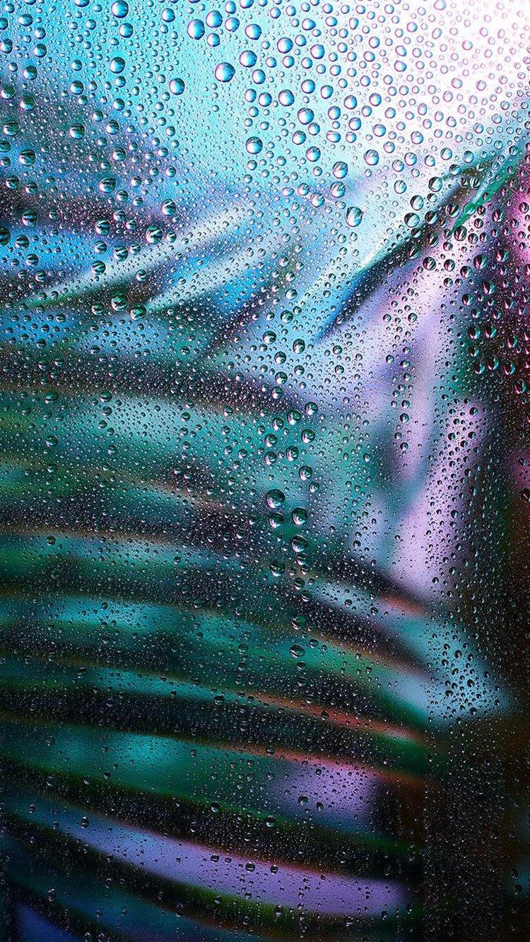 Raindrop Exotic Plant Art