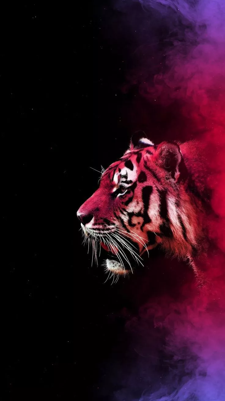 3D Wallpaper, HD Wallpaper, iPhone