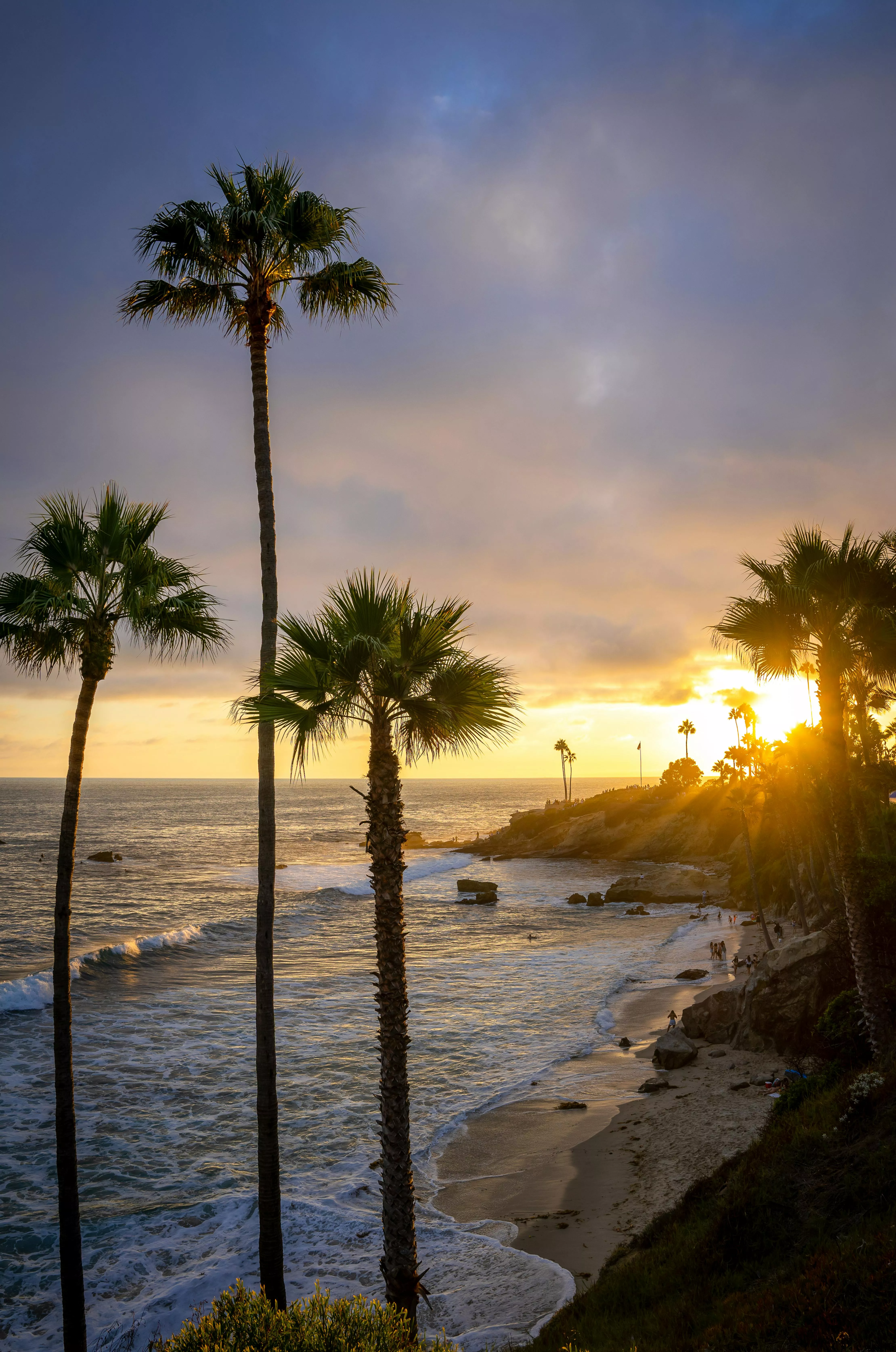 Exotic Beach with Palm Trees at Sunrise