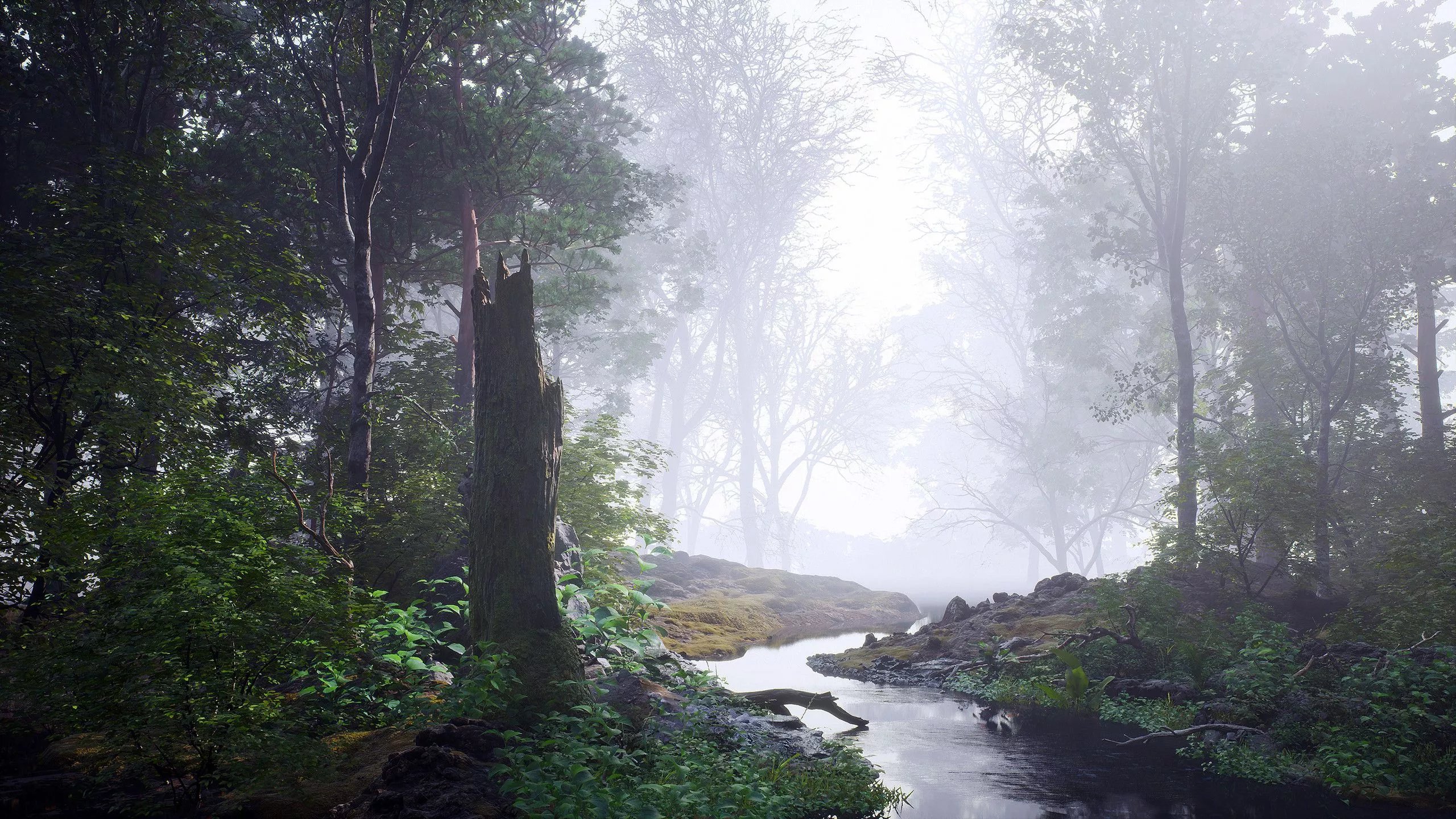 Finn Meinert Matthiesen - RTX