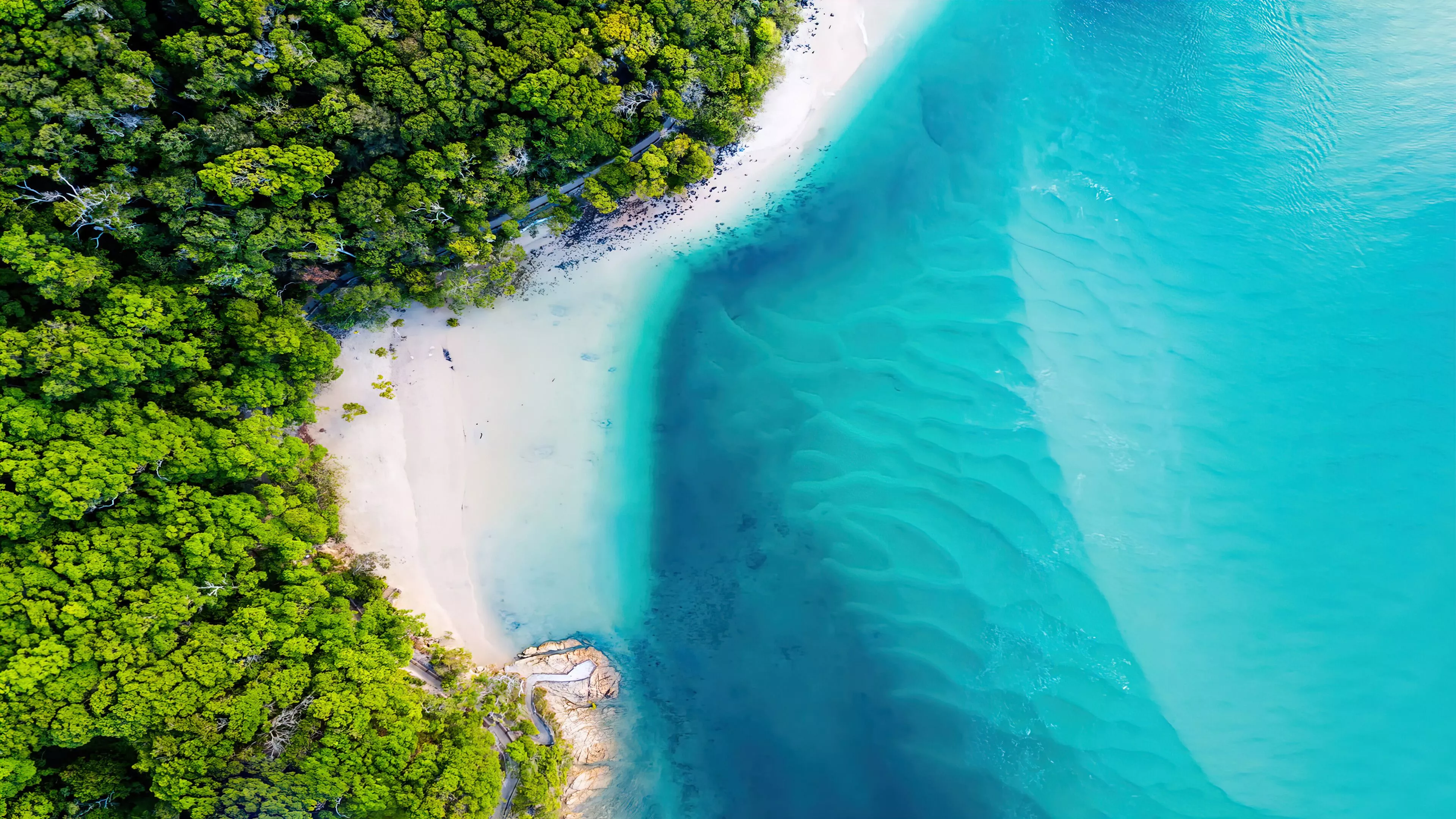 Aerial View of Beach Coastline and Forest 4K Nature Wallpaper Free 4K Desktop Wallpaper