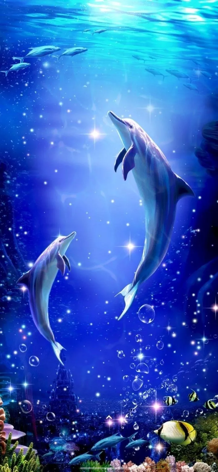 Dolphin Wallpaper