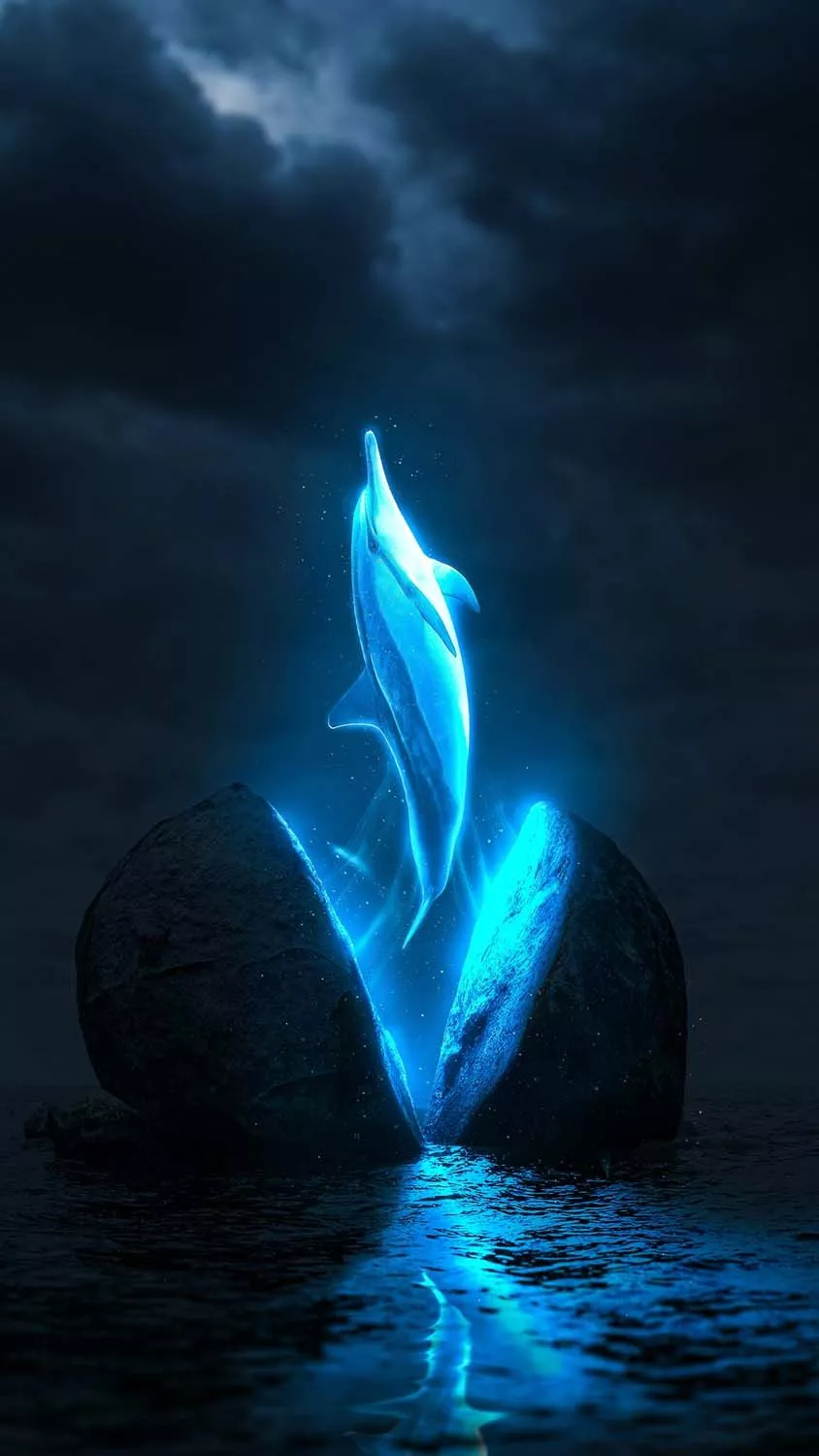 Mystical Dolphin iPhone Wallpaper HD