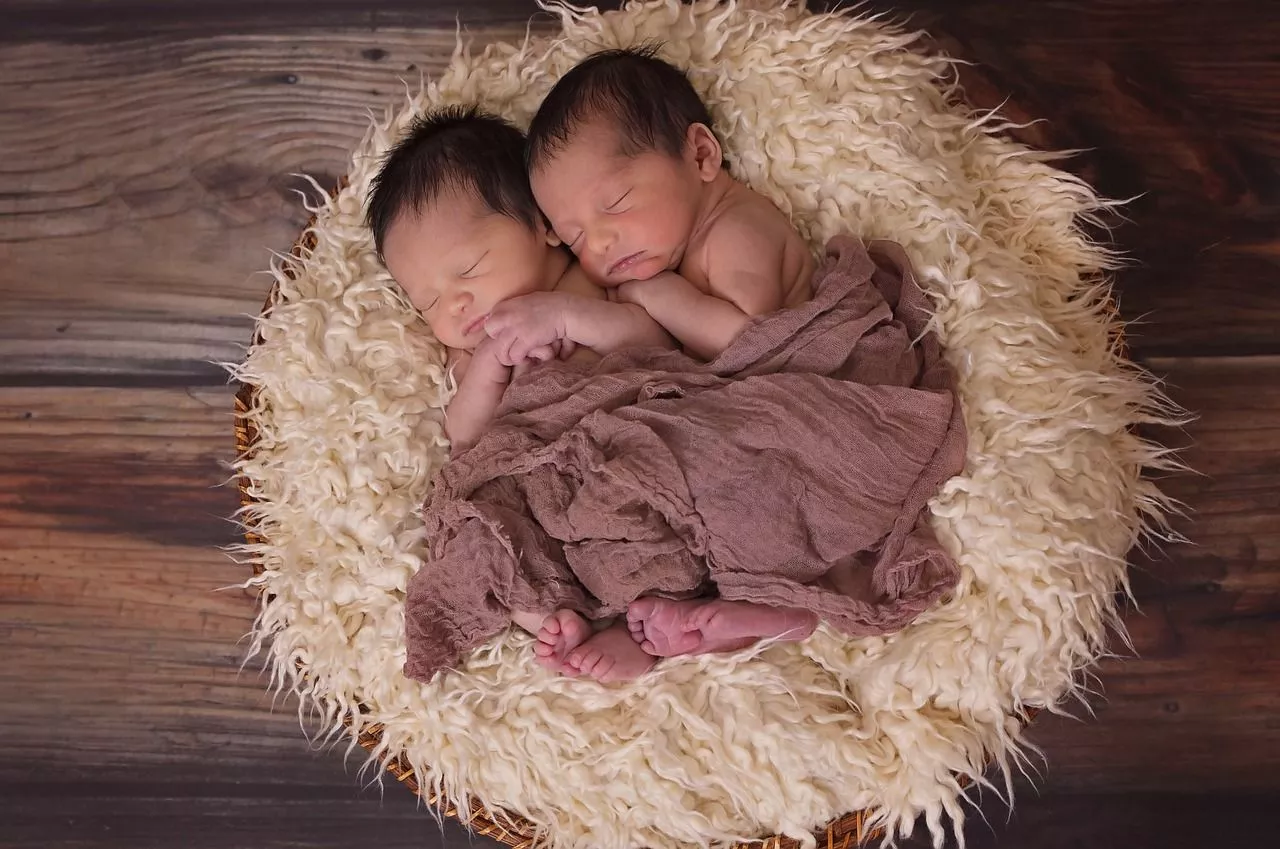 20,Free Twin Boys & Boy Image