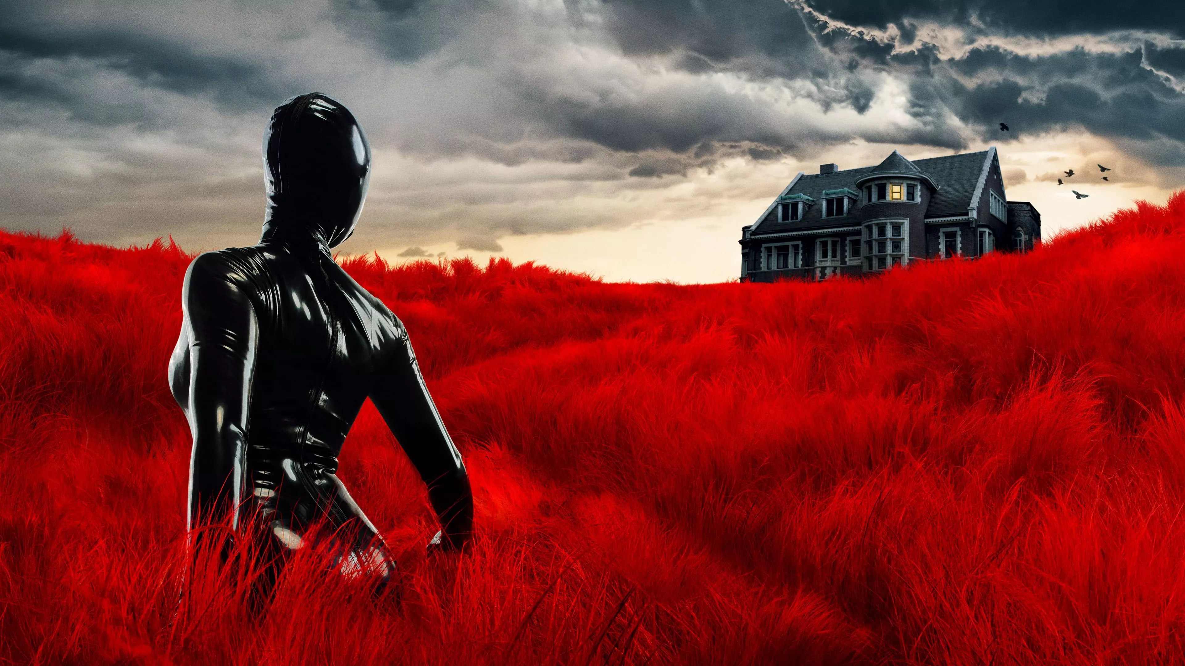 Season 1 American Horror Stories Wallpaper, HD TV Series 4K Wallpaper, Image and Background