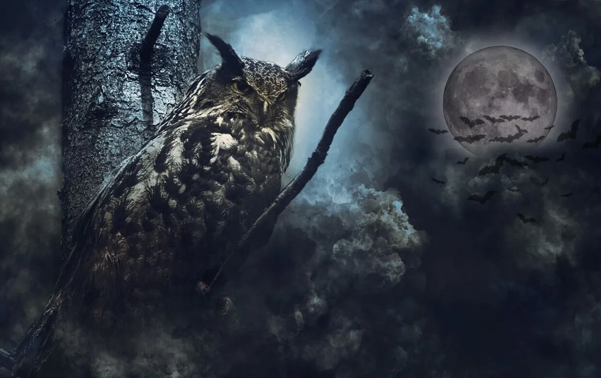 Horror Exhibition Bran Castle