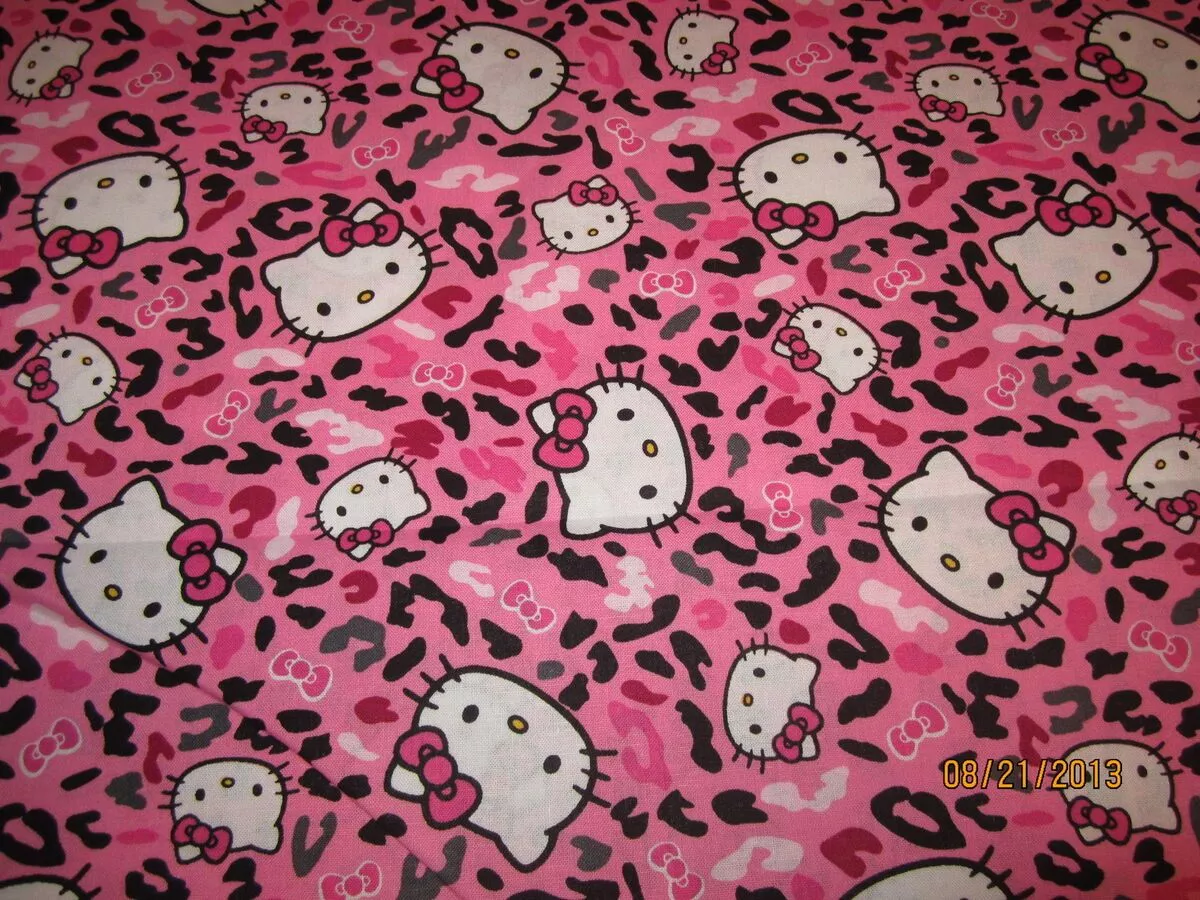 Hello Kitty cheetah pink baby toddler