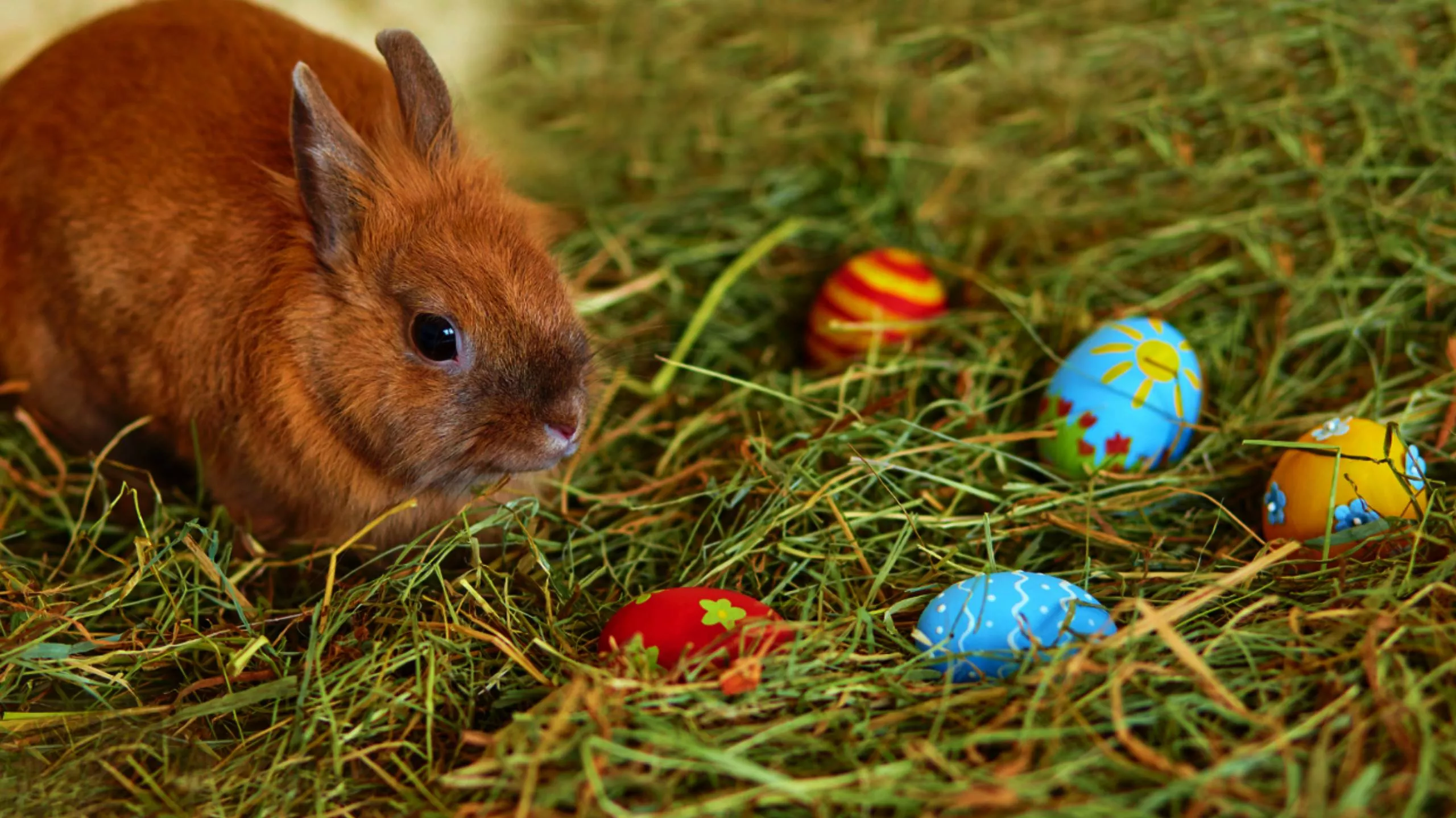 When is Easter 2025? How Is Easter's