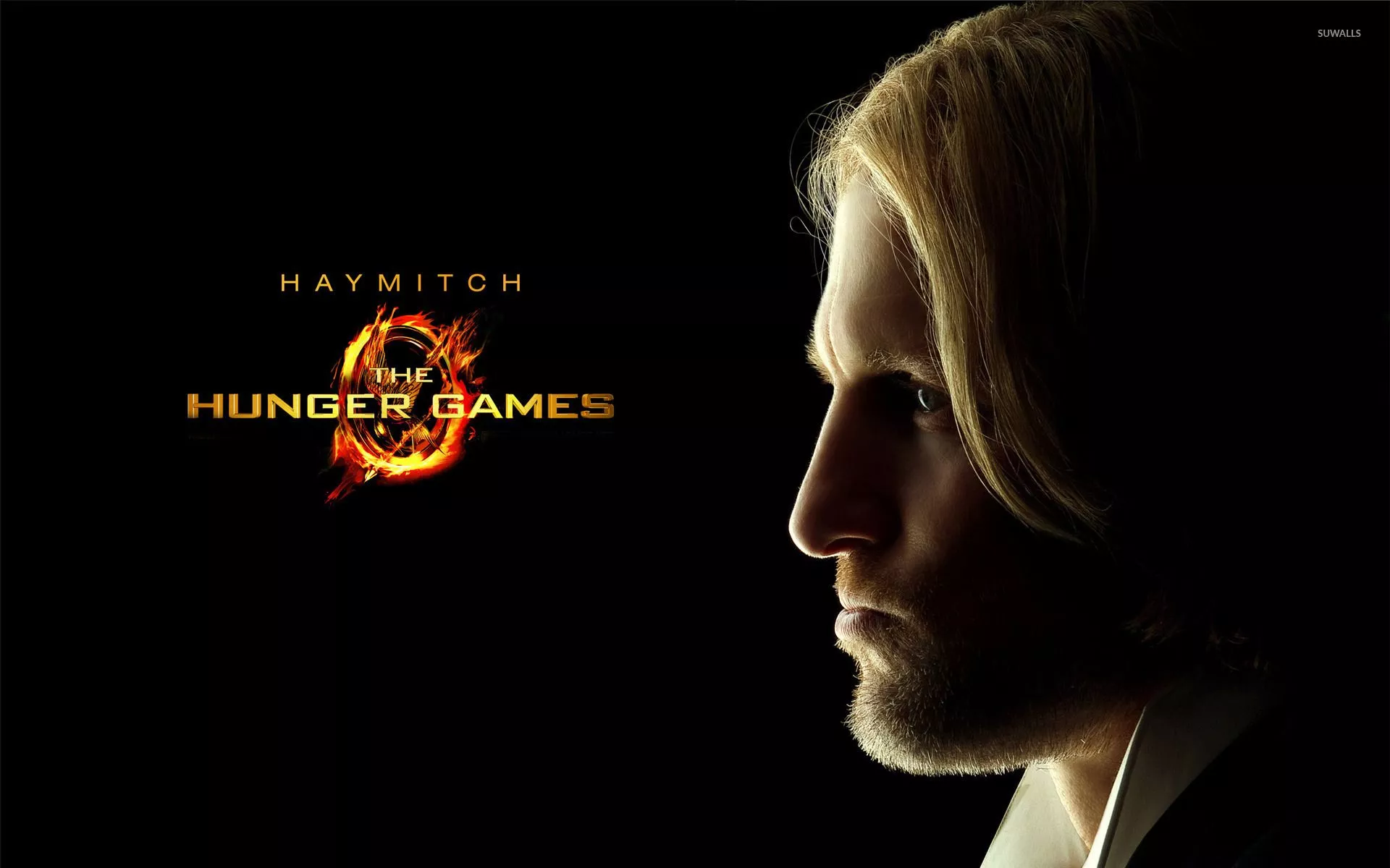 Haymitch Abernathy Hunger Games