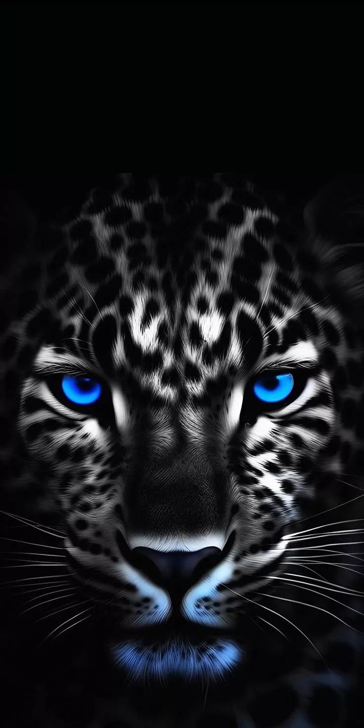 Wallpaper Motorola G85