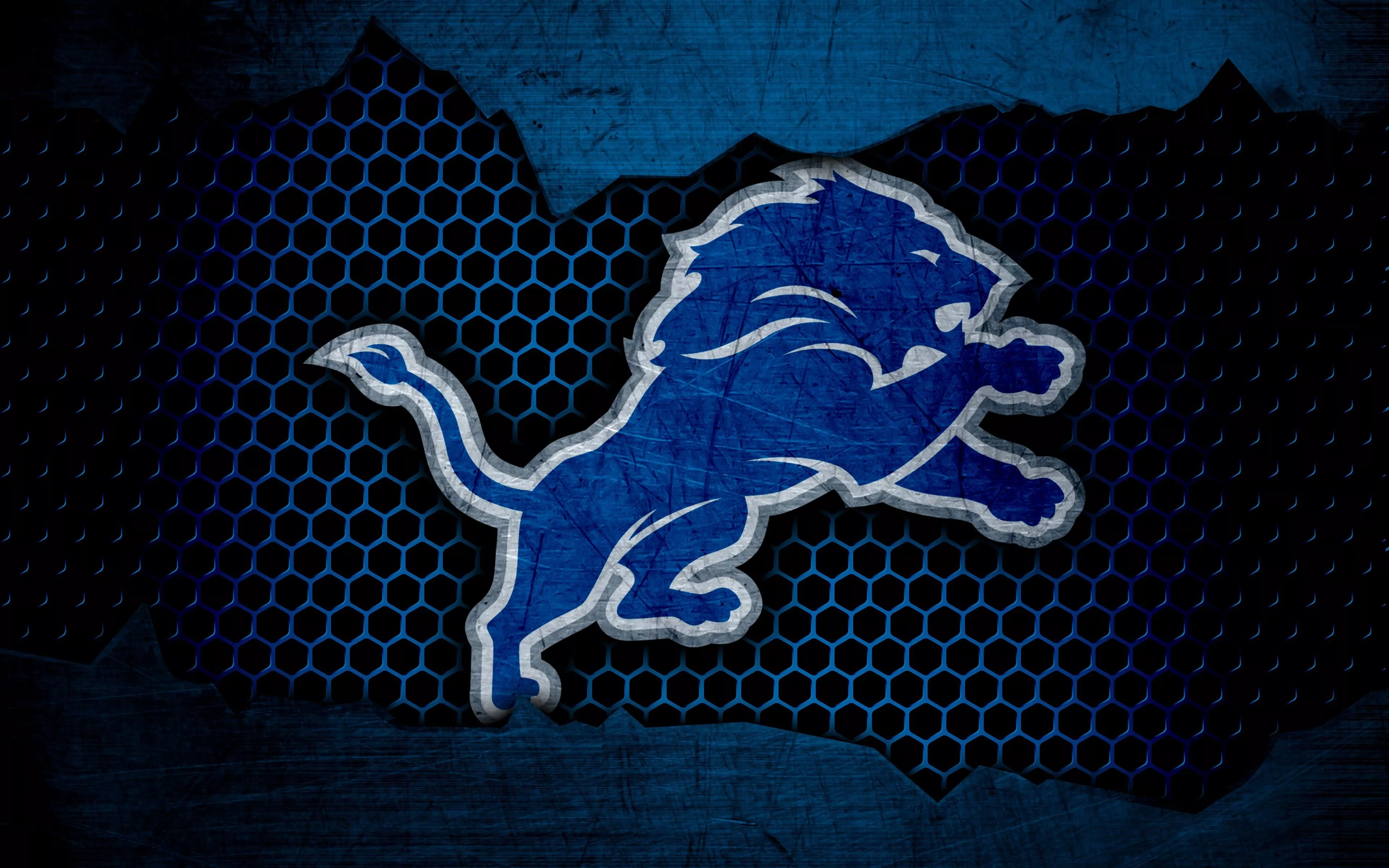 Wallpaper wallpaper, sport, logo, NFL