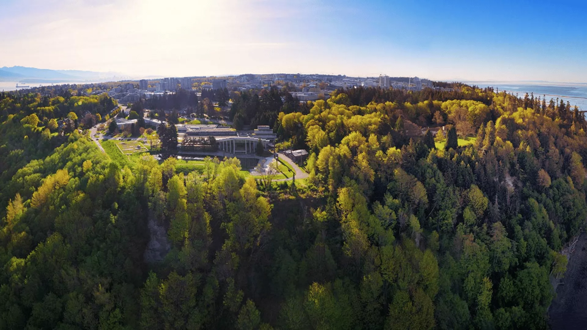 Evan Saugstad: When the Narrative Shifts