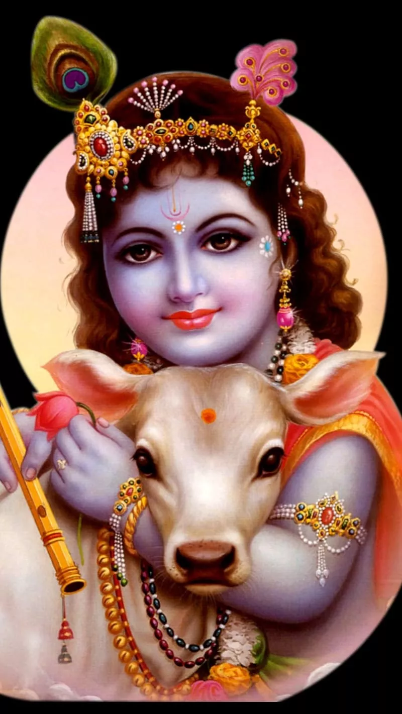 mobile with cow, HD phone wallpaper