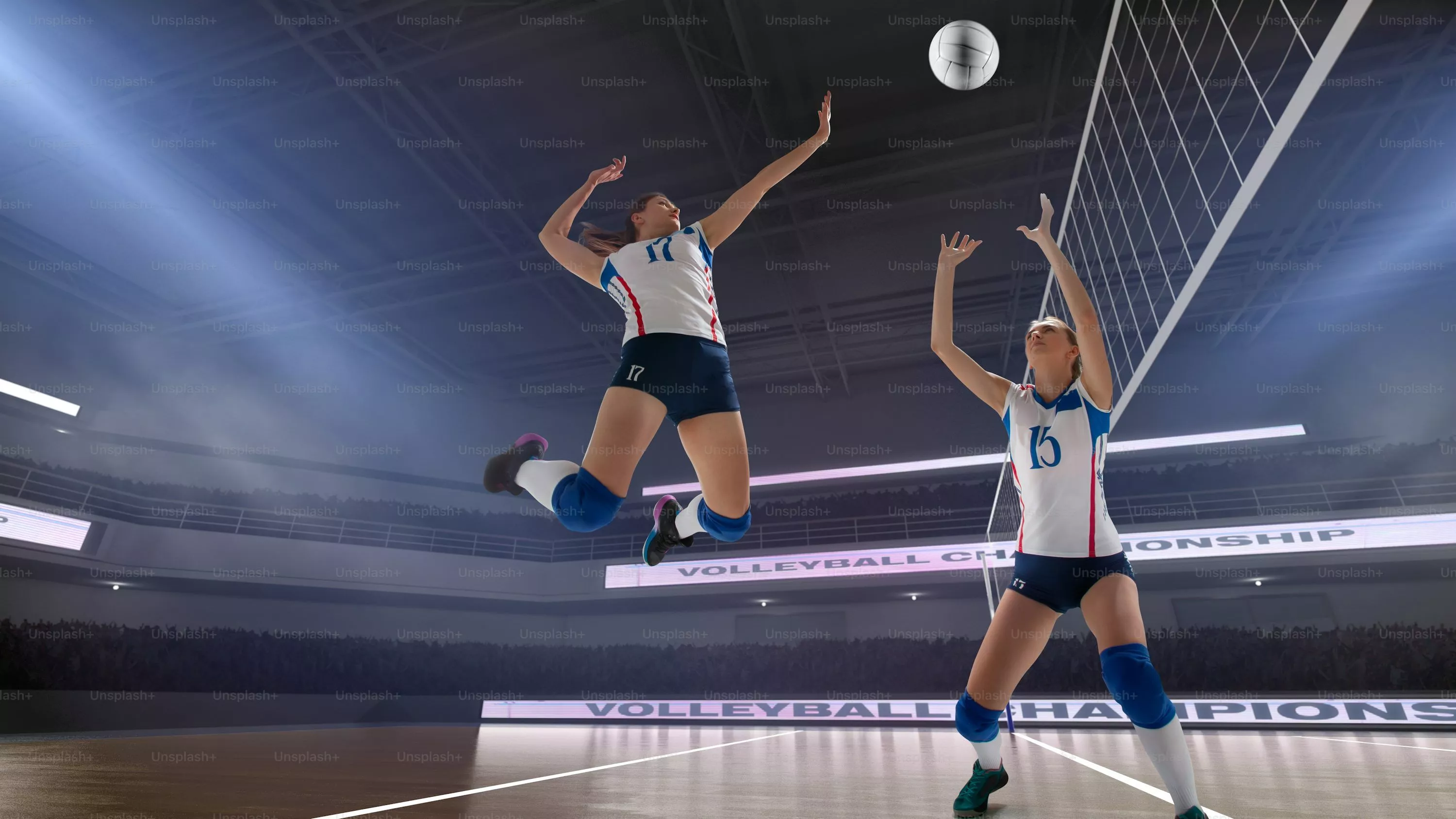 Volleyball Picture. Download
